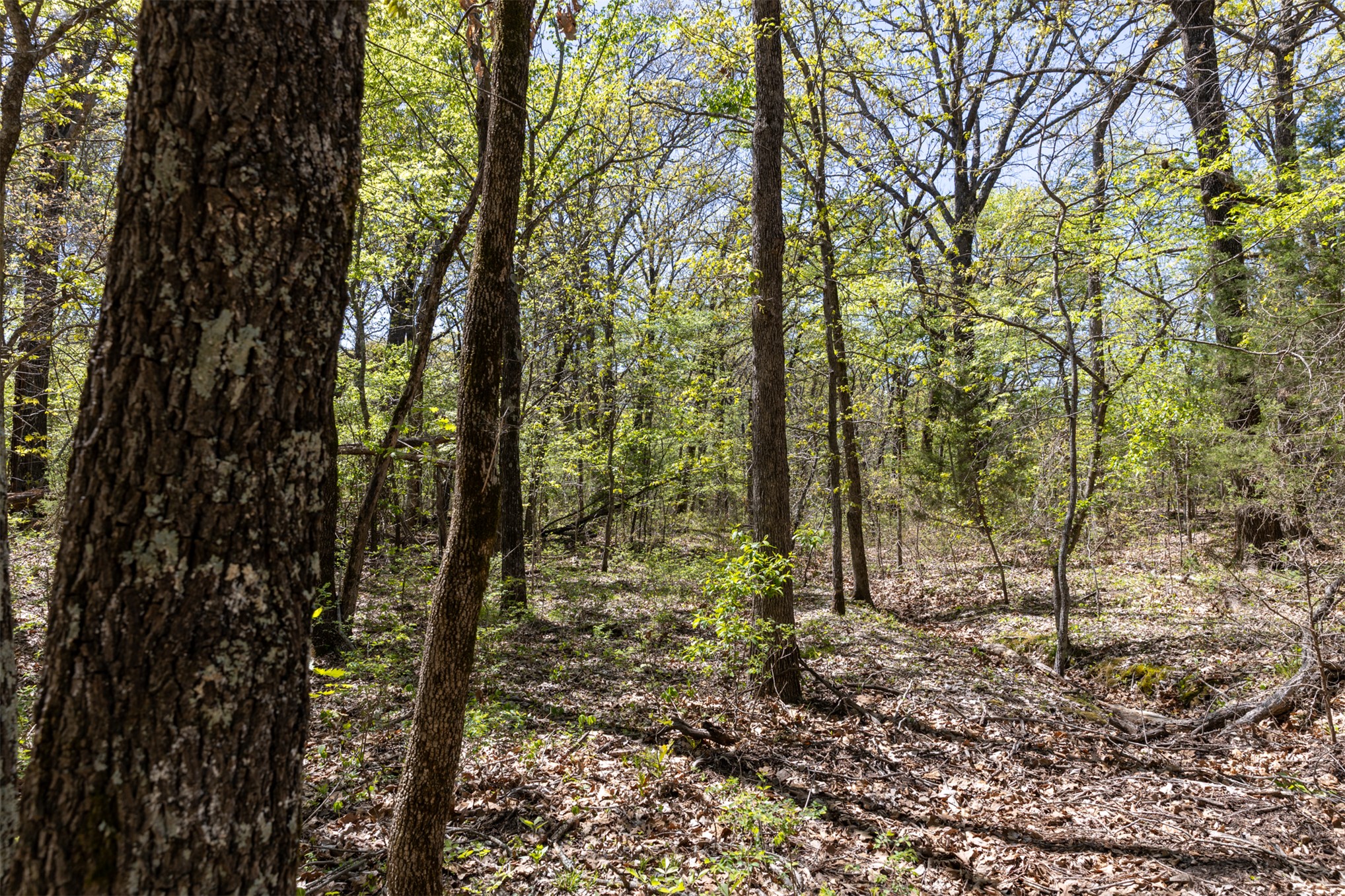 3 E 1180 Road Okemah OK 74859