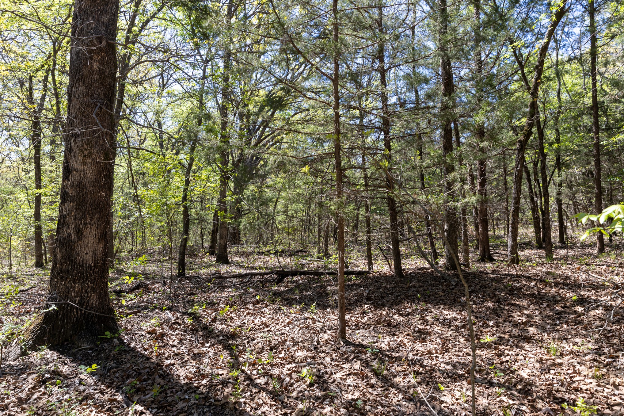 3 E 1180 Road Okemah OK 74859