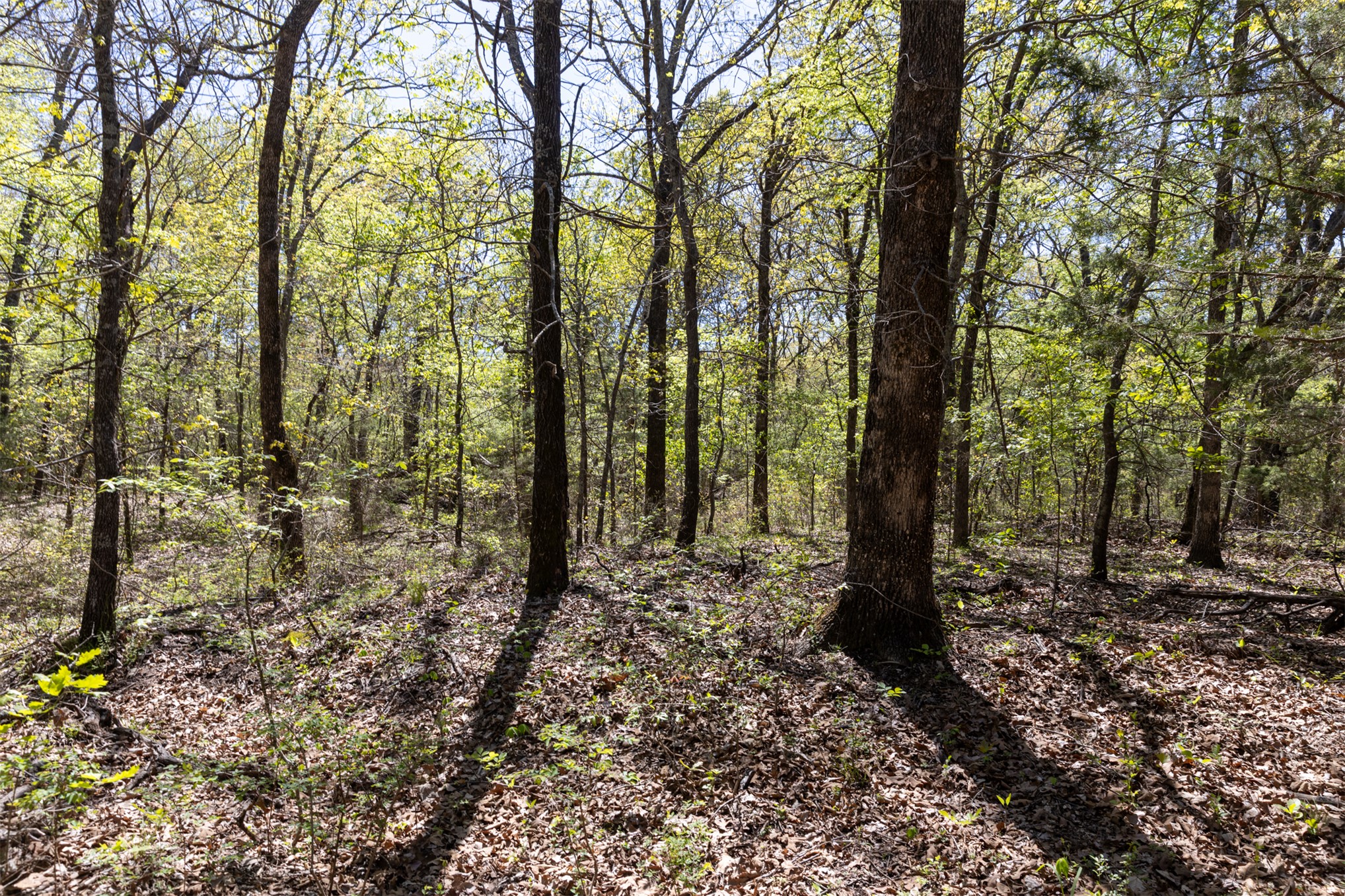 3 E 1180 Road Okemah OK 74859