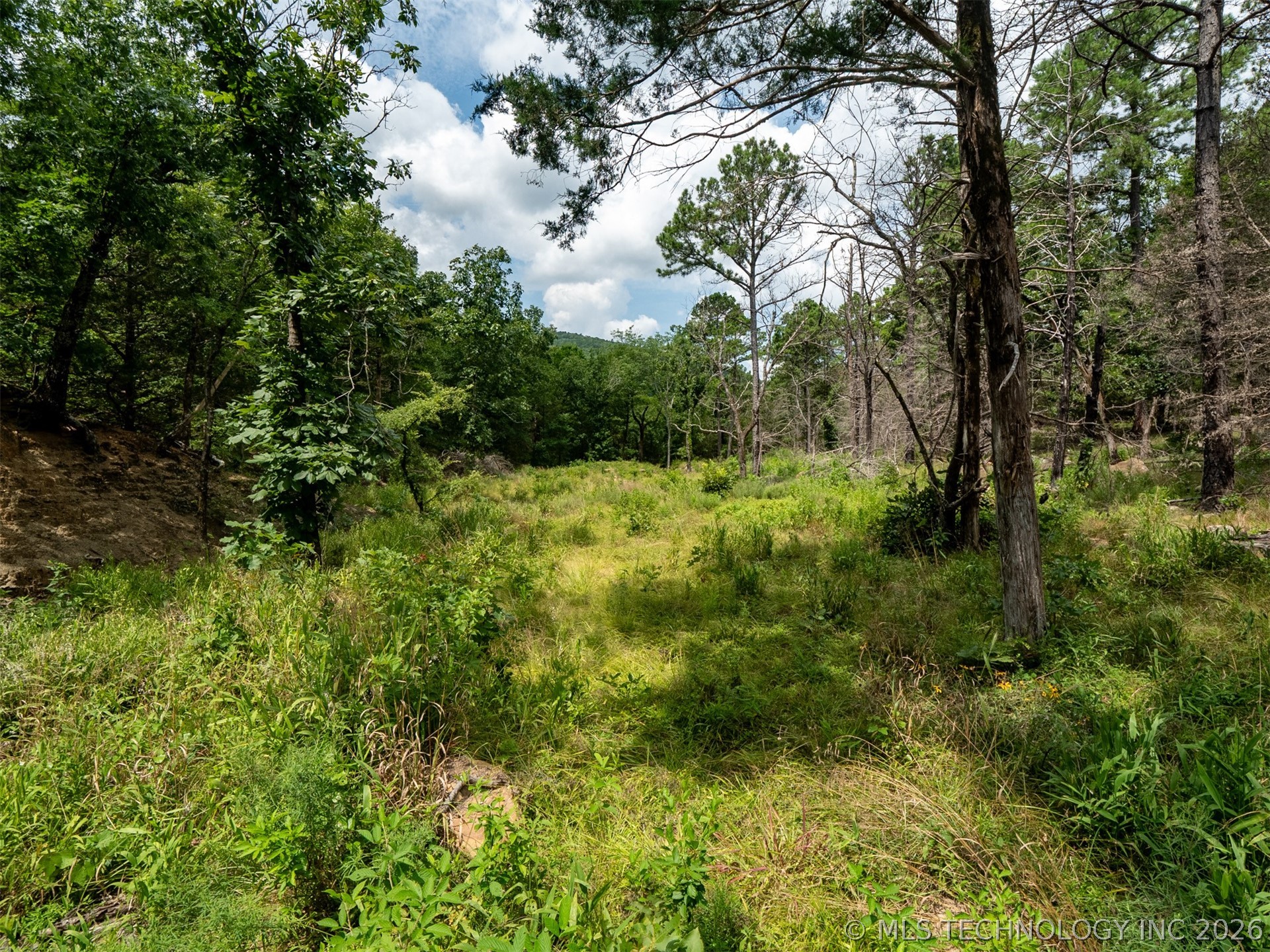 164687 N 4293 Road Clayton OK 74536