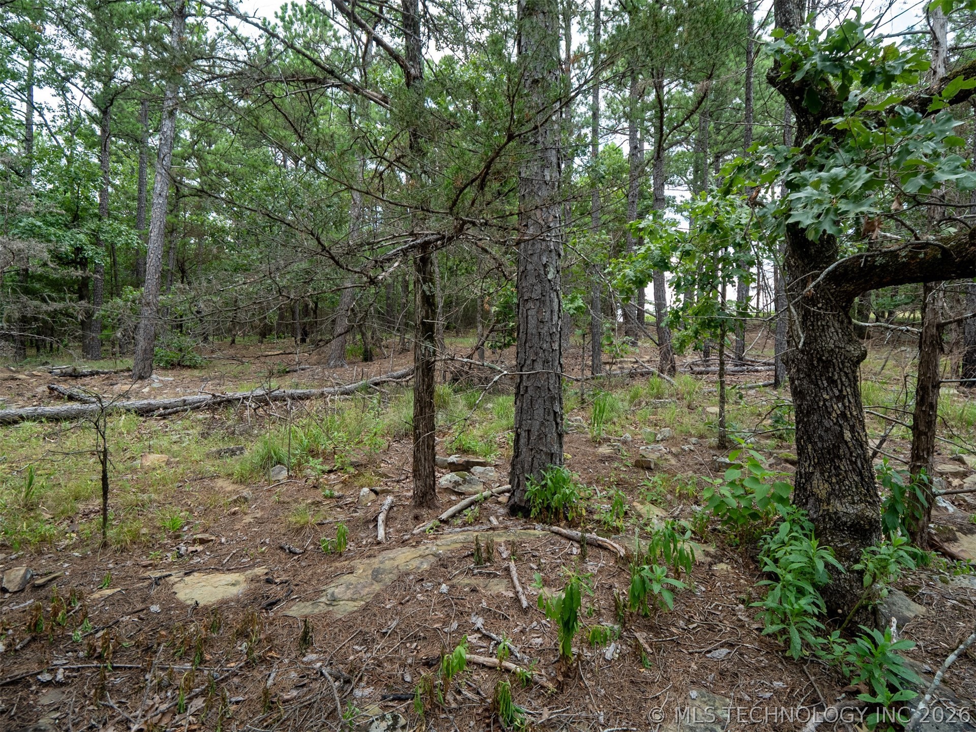 164687 N 4293 Road Clayton OK 74536