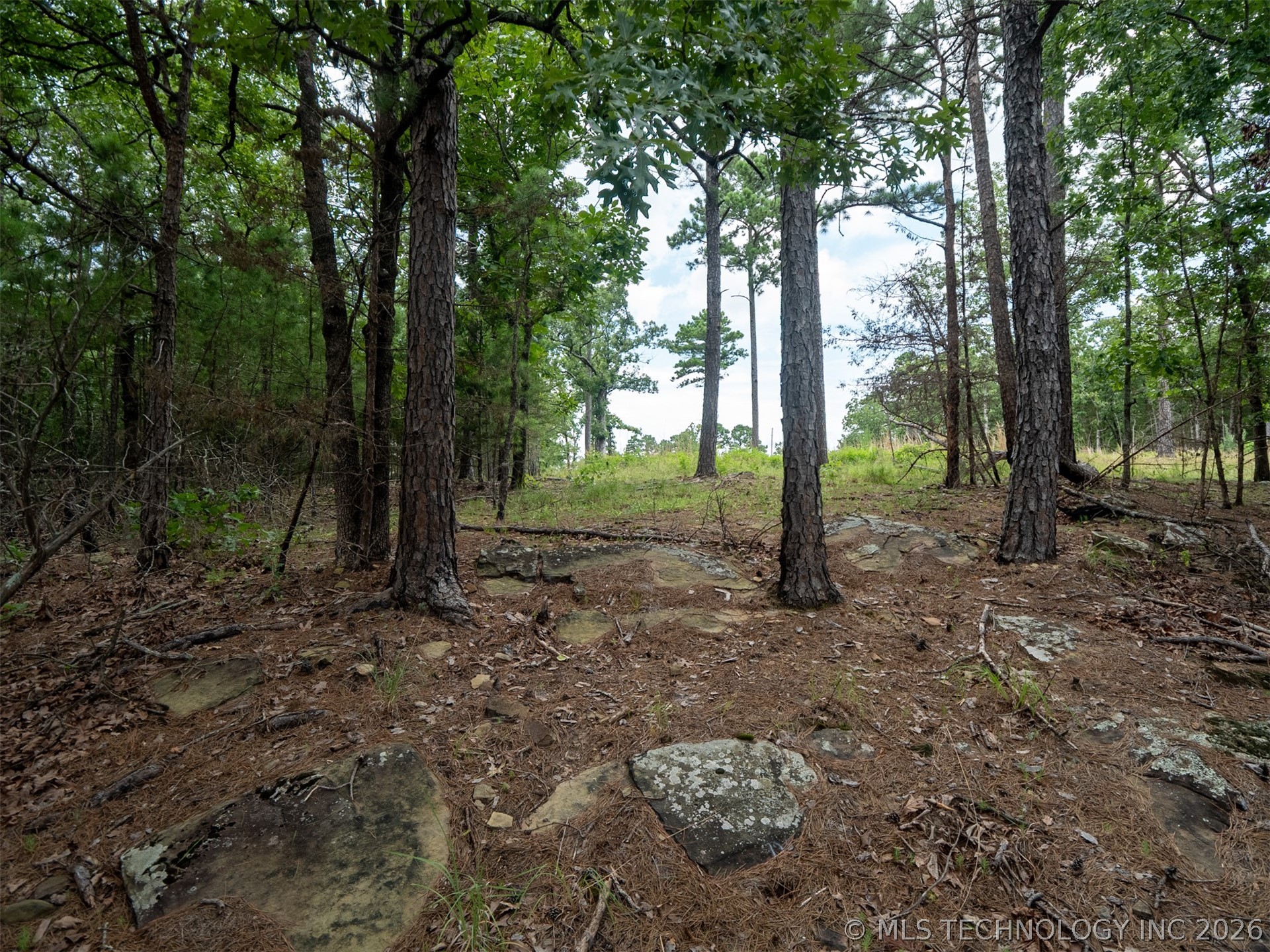 164687 N 4293 Road Clayton OK 74536