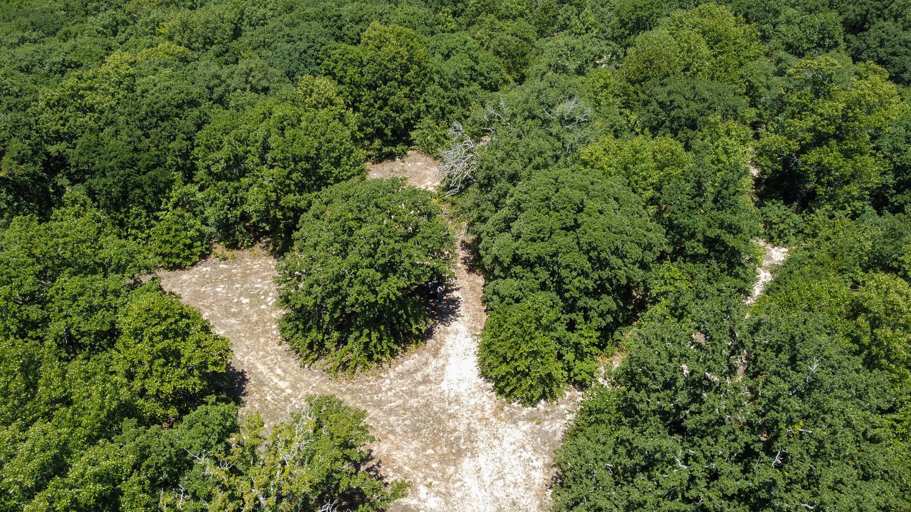 N 3820 Road Weleetka OK 74880