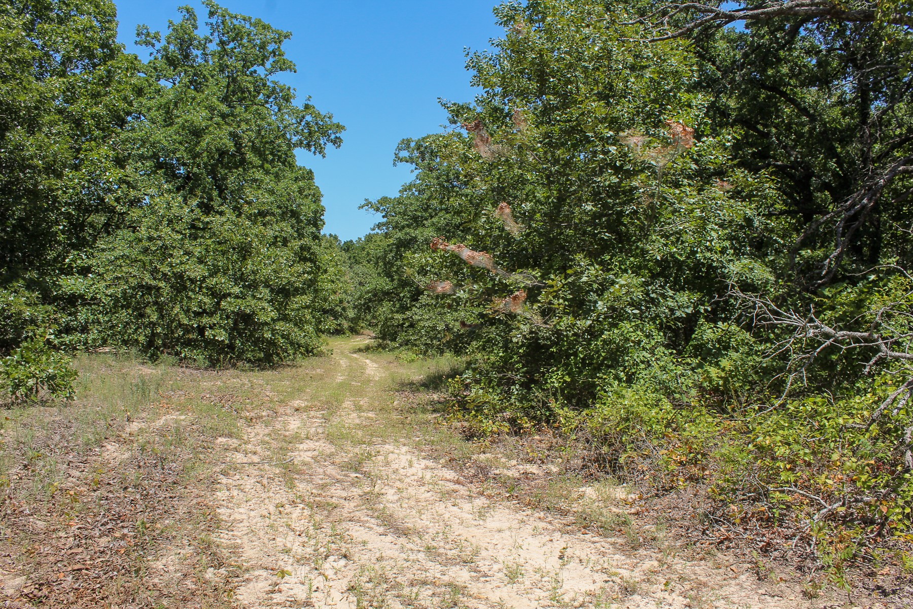 N 3820 Road Weleetka OK 74880