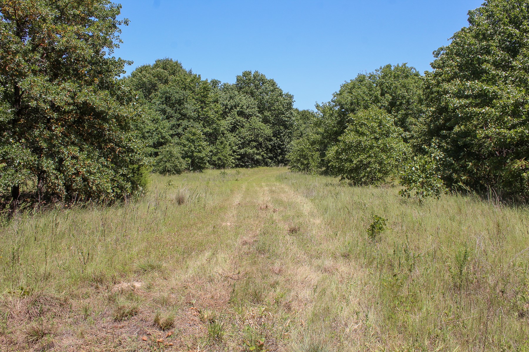 N 3820 Road Weleetka OK 74880