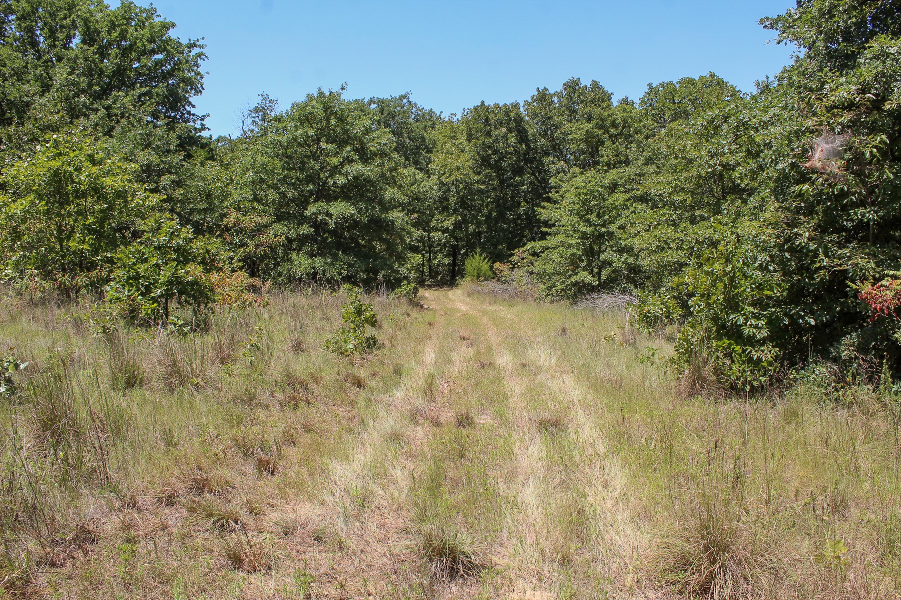 N 3820 Road Weleetka OK 74880