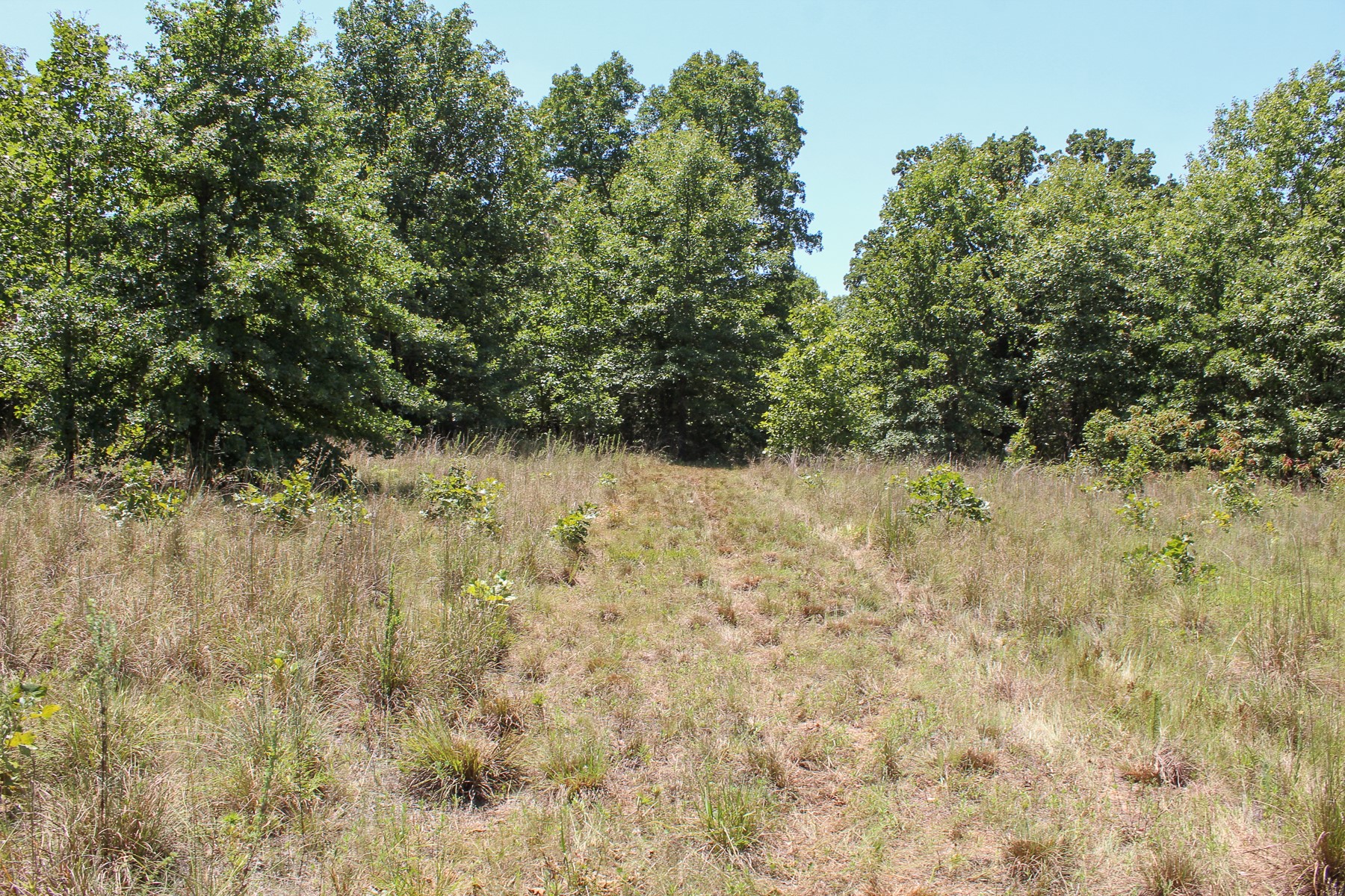 N 3820 Road Weleetka OK 74880