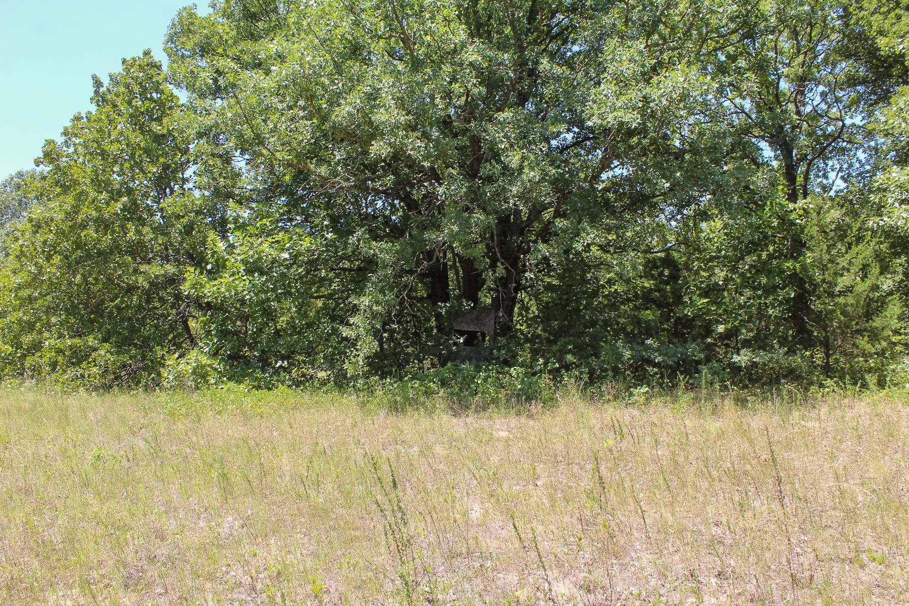 N 3820 Road Weleetka OK 74880