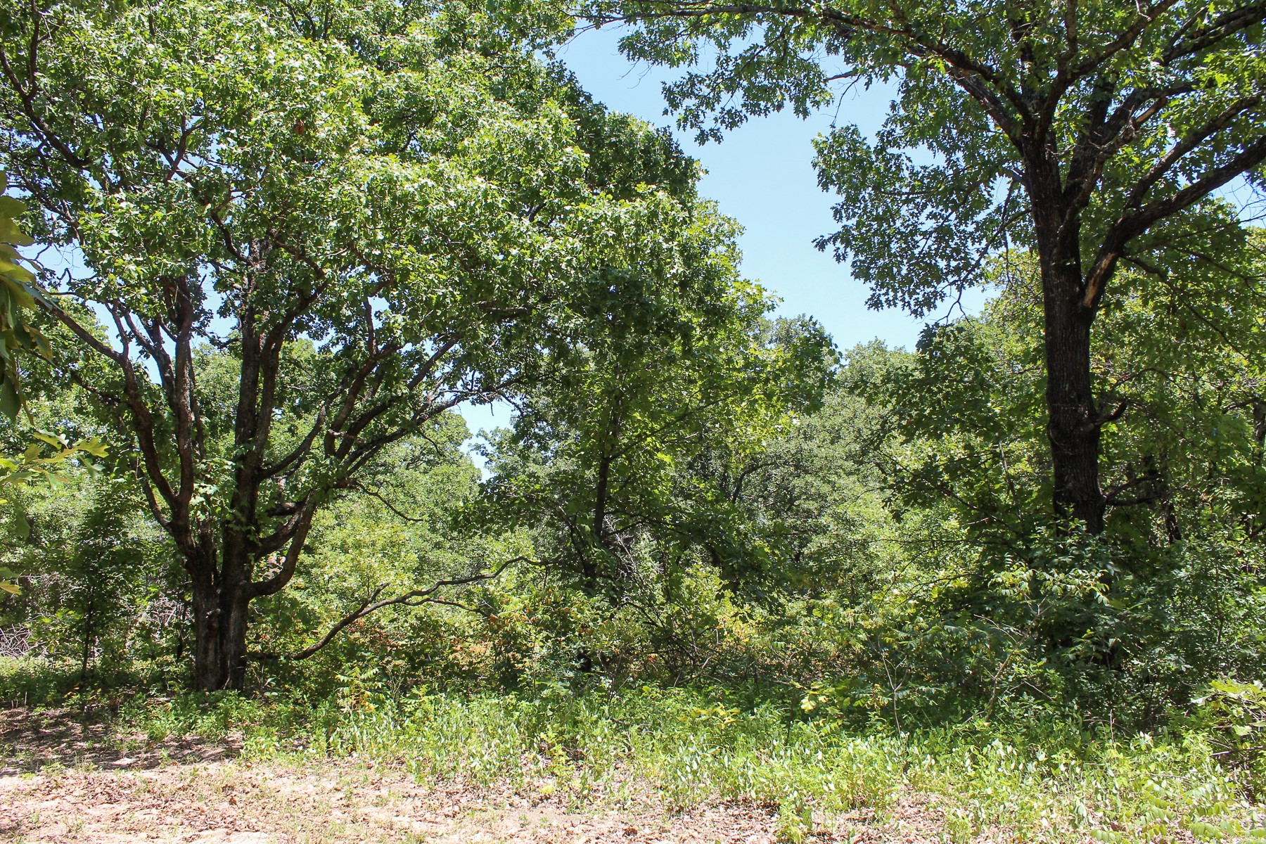 N 3820 Road Weleetka OK 74880