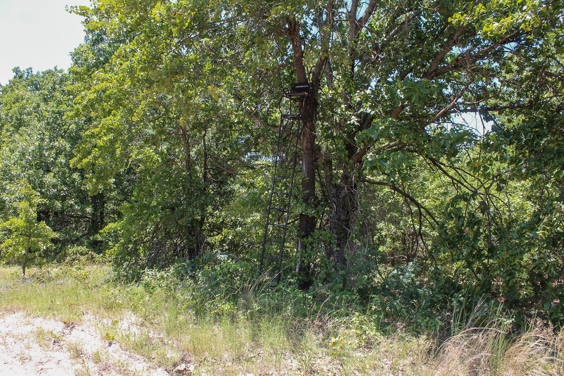 N 3820 Road Weleetka OK 74880