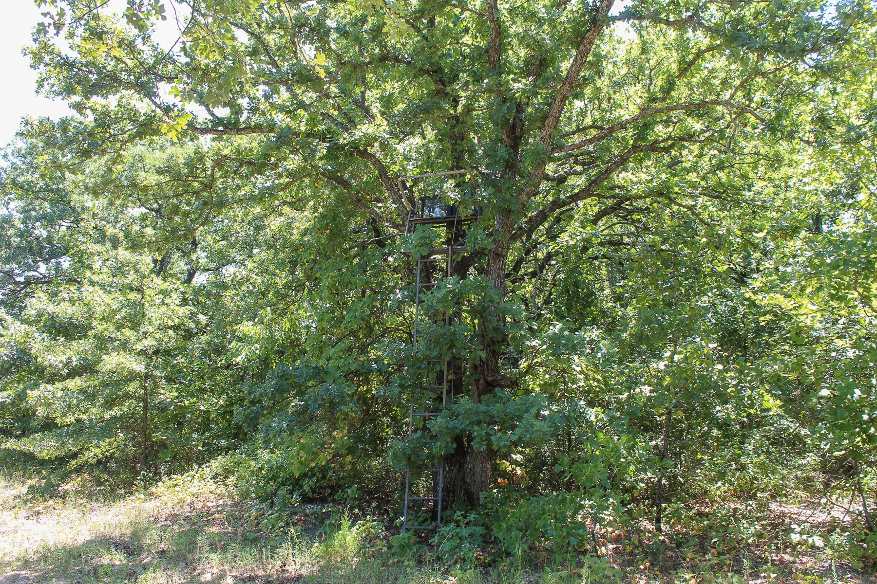 N 3820 Road Weleetka OK 74880