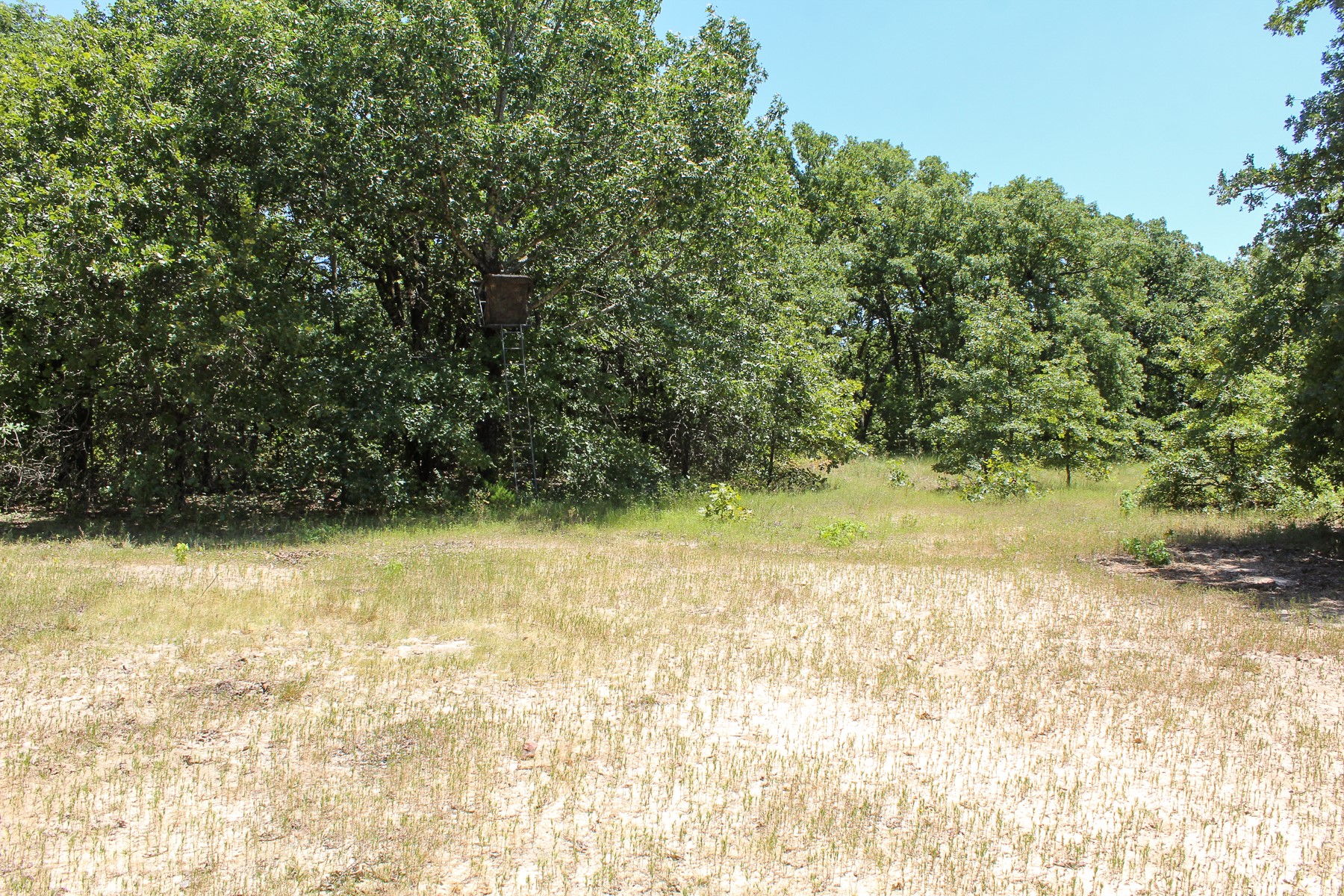 N 3820 Road Weleetka OK 74880