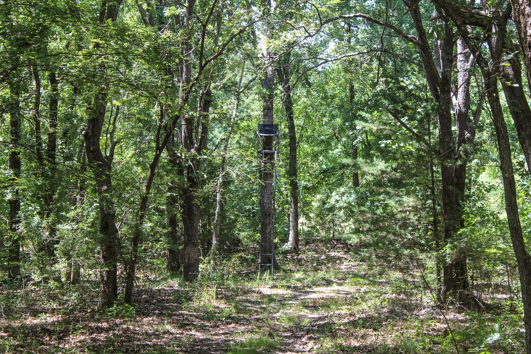 N 3820 Road Weleetka OK 74880