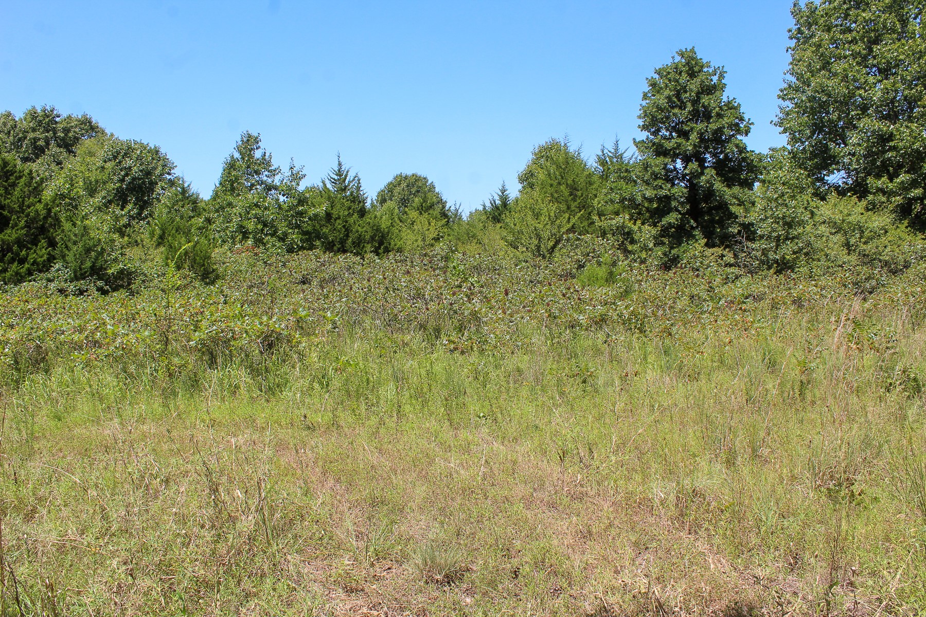 N 3820 Road Weleetka OK 74880