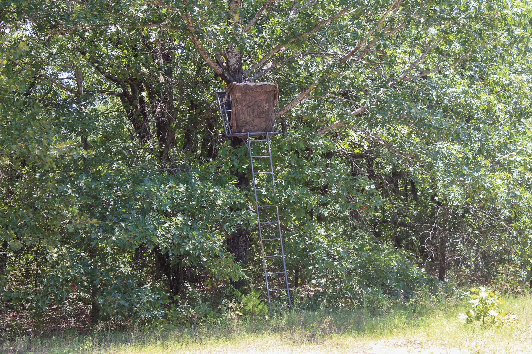 N 3820 Road Weleetka OK 74880