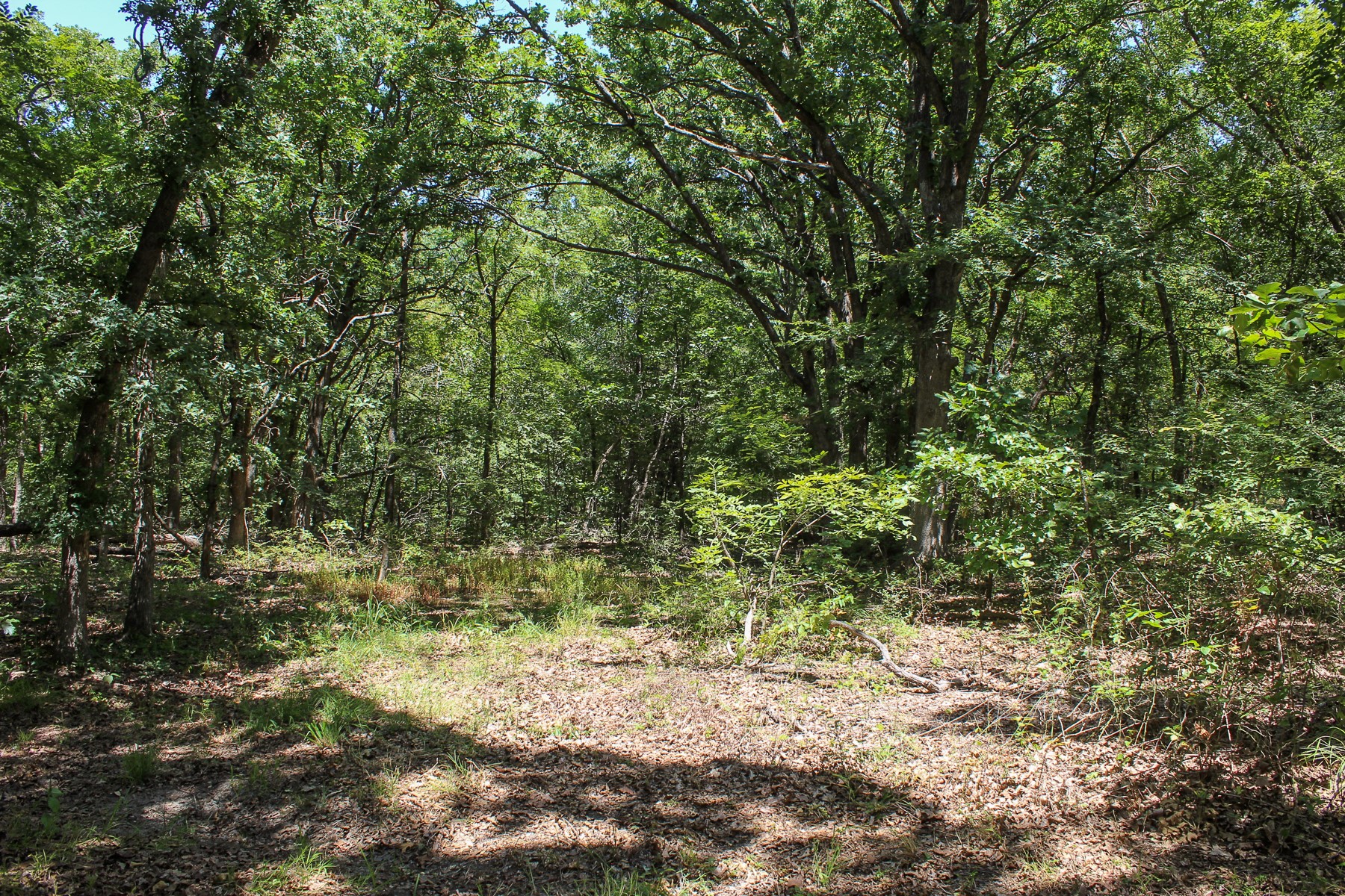 N 3820 Road Weleetka OK 74880