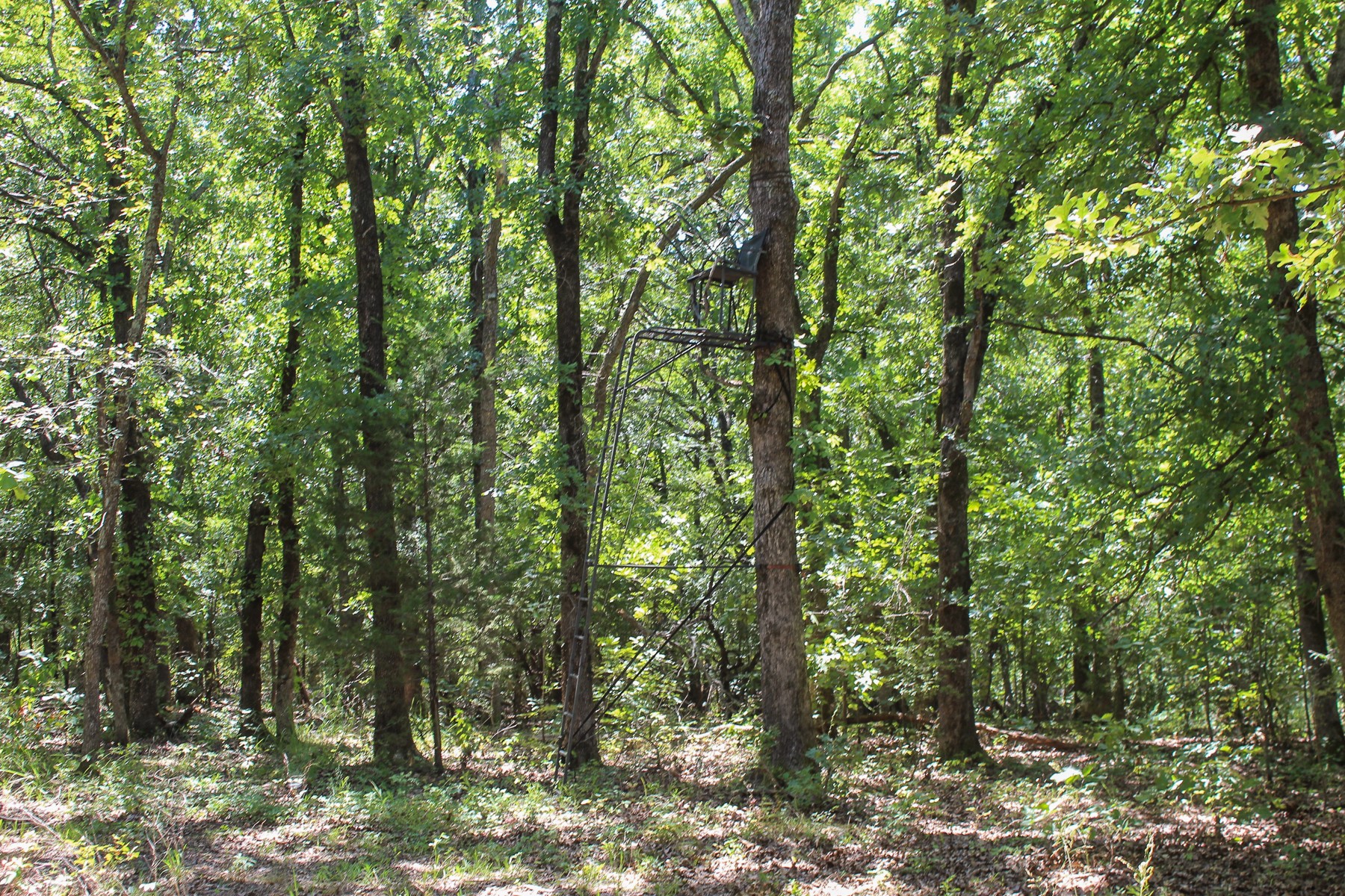 N 3820 Road Weleetka OK 74880