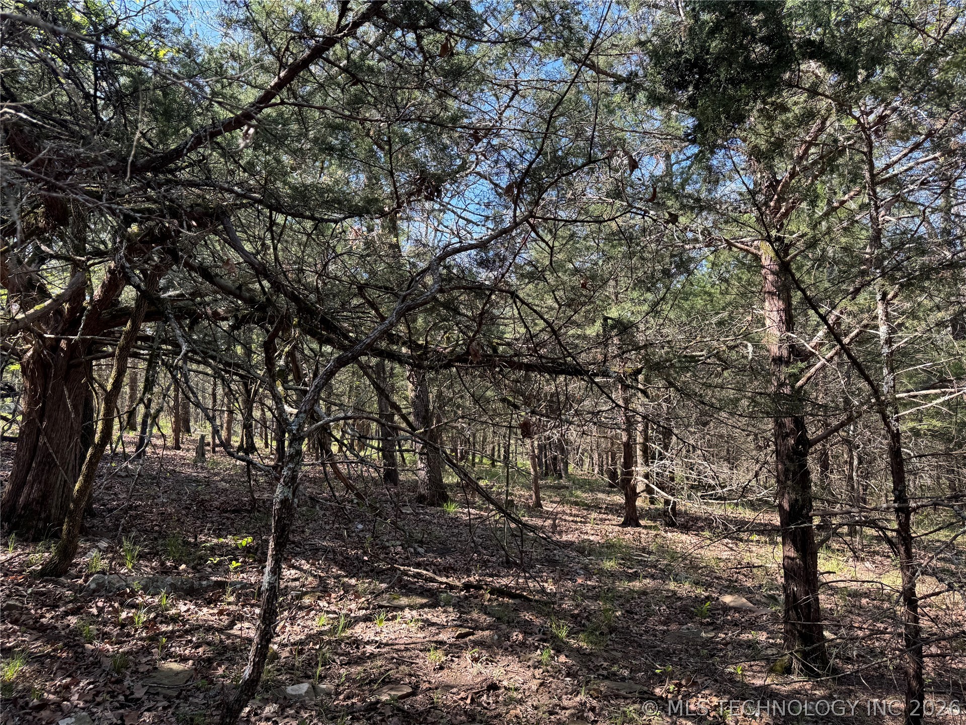 11 E Blue Creek Road Mcalester OK 74501
