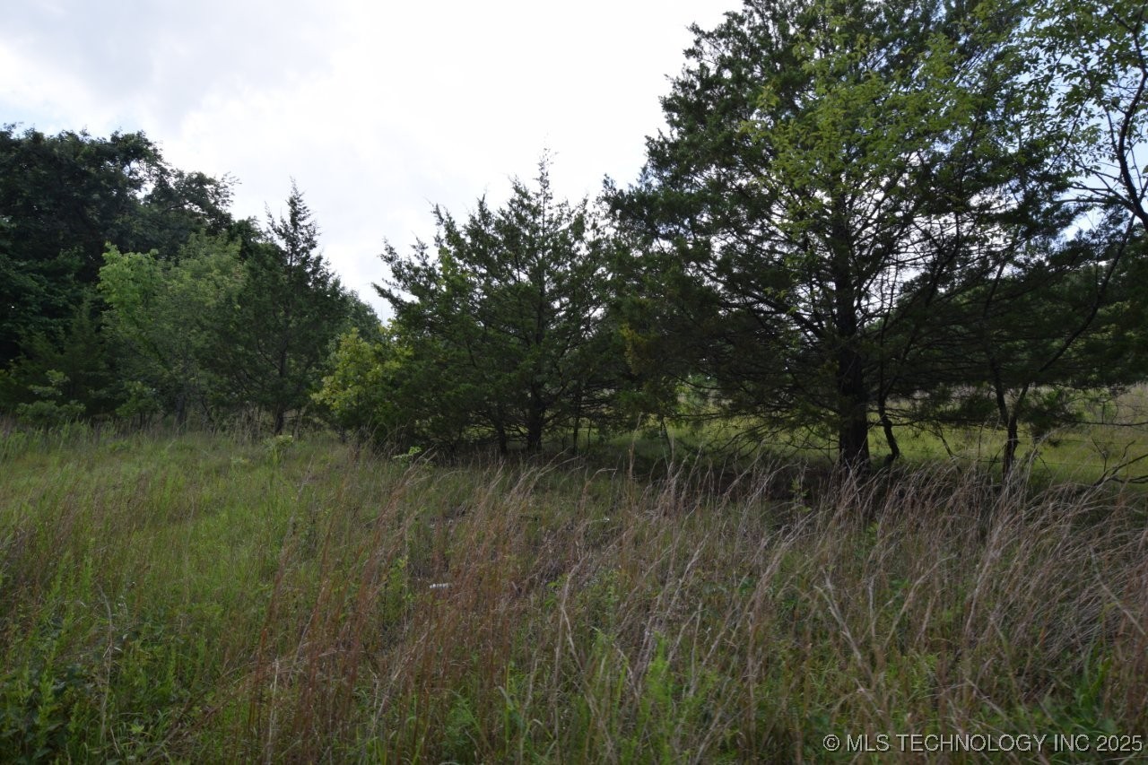 36005 Highway 20 Jay OK 74346