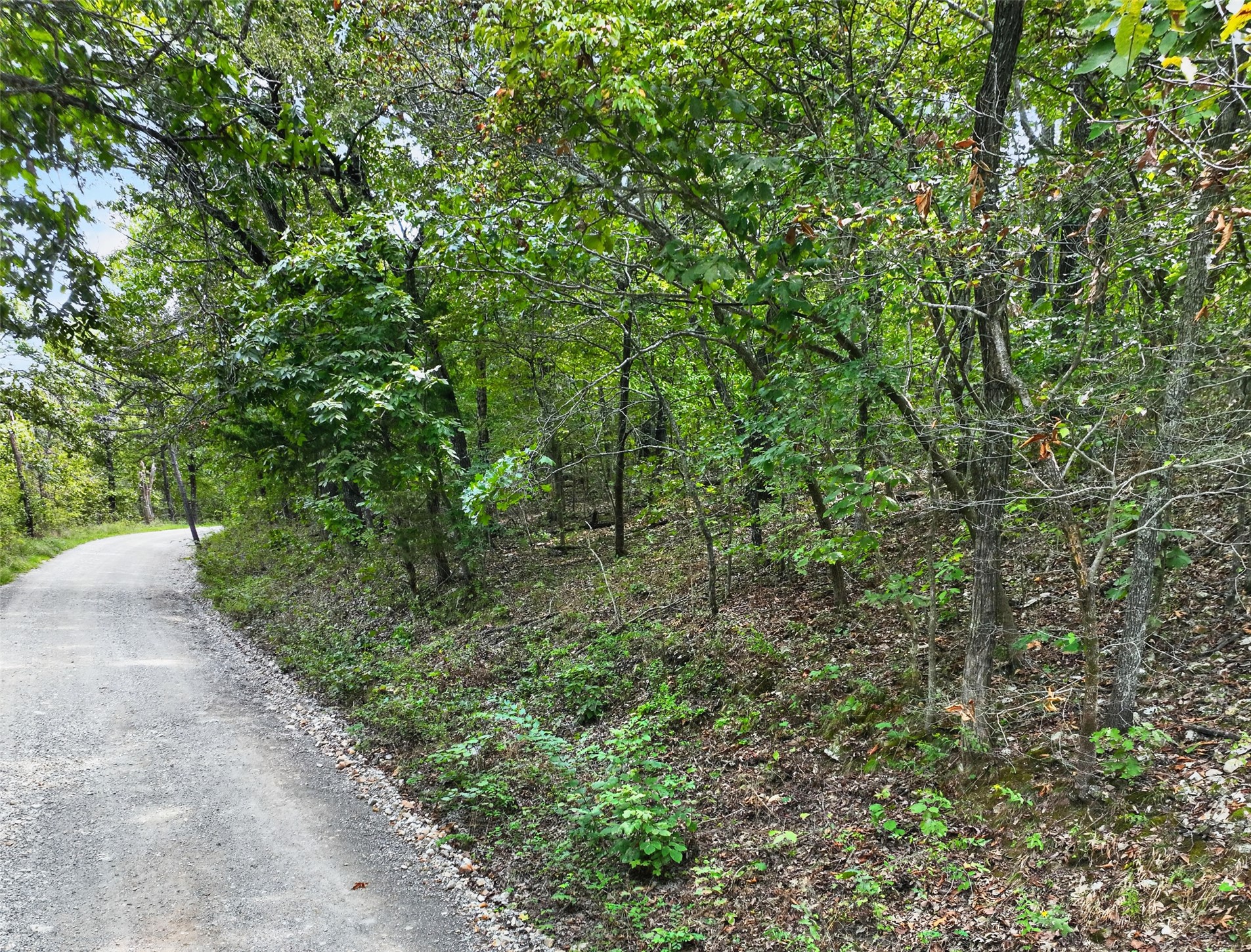 E 610 Road Locust Grove OK 74352