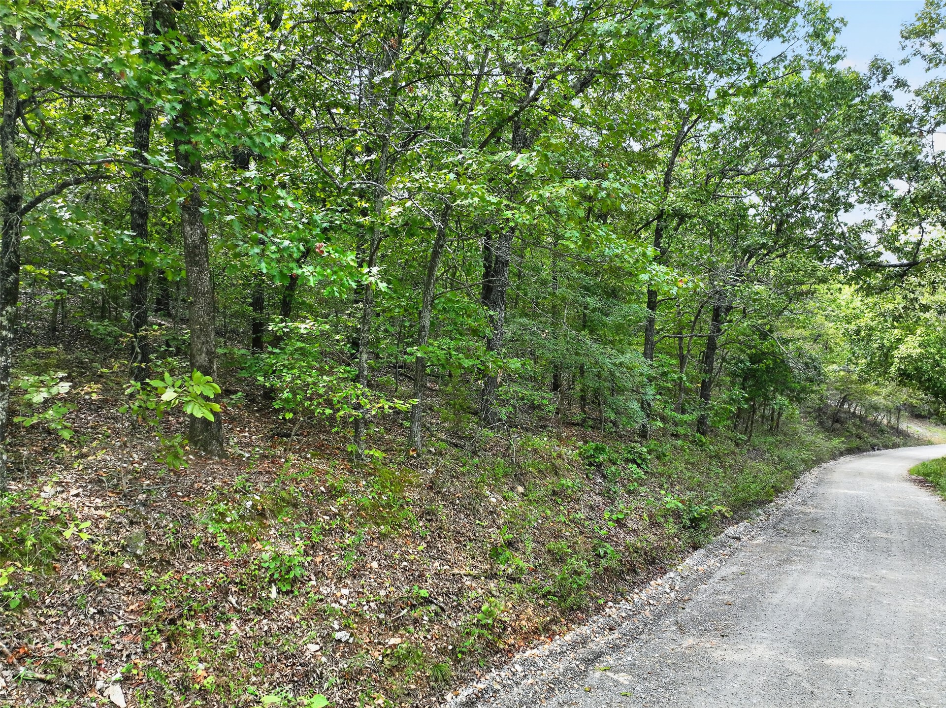 E 610 Road Locust Grove OK 74352