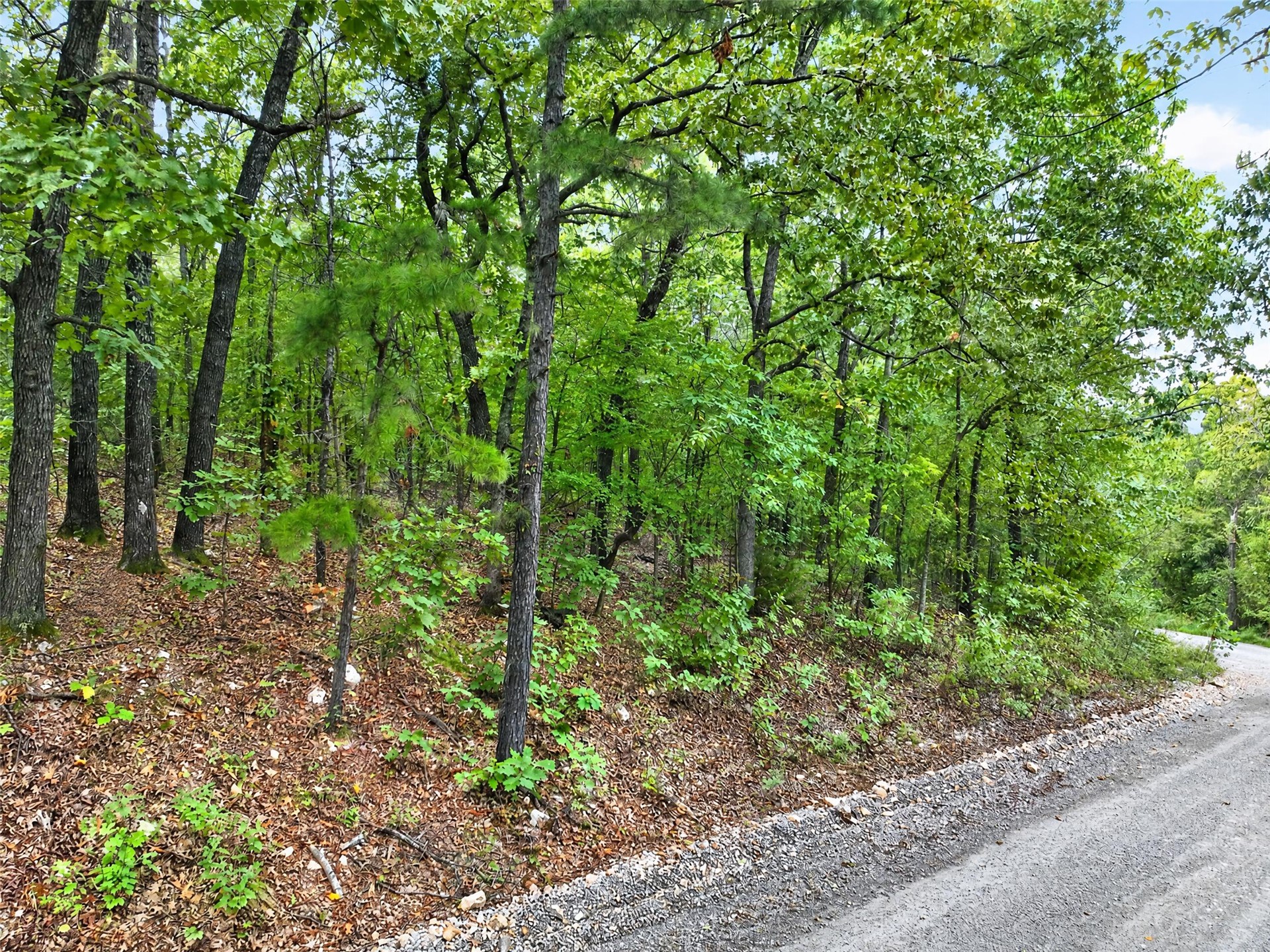 E 610 Road Locust Grove OK 74352