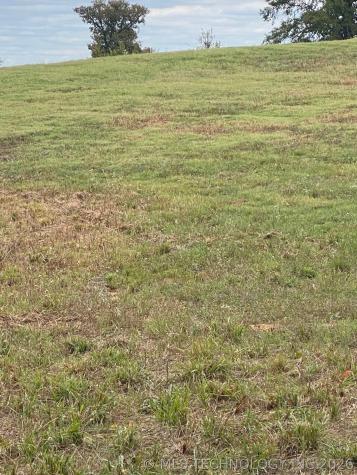 W Davis Creek Road Caney OK 74533