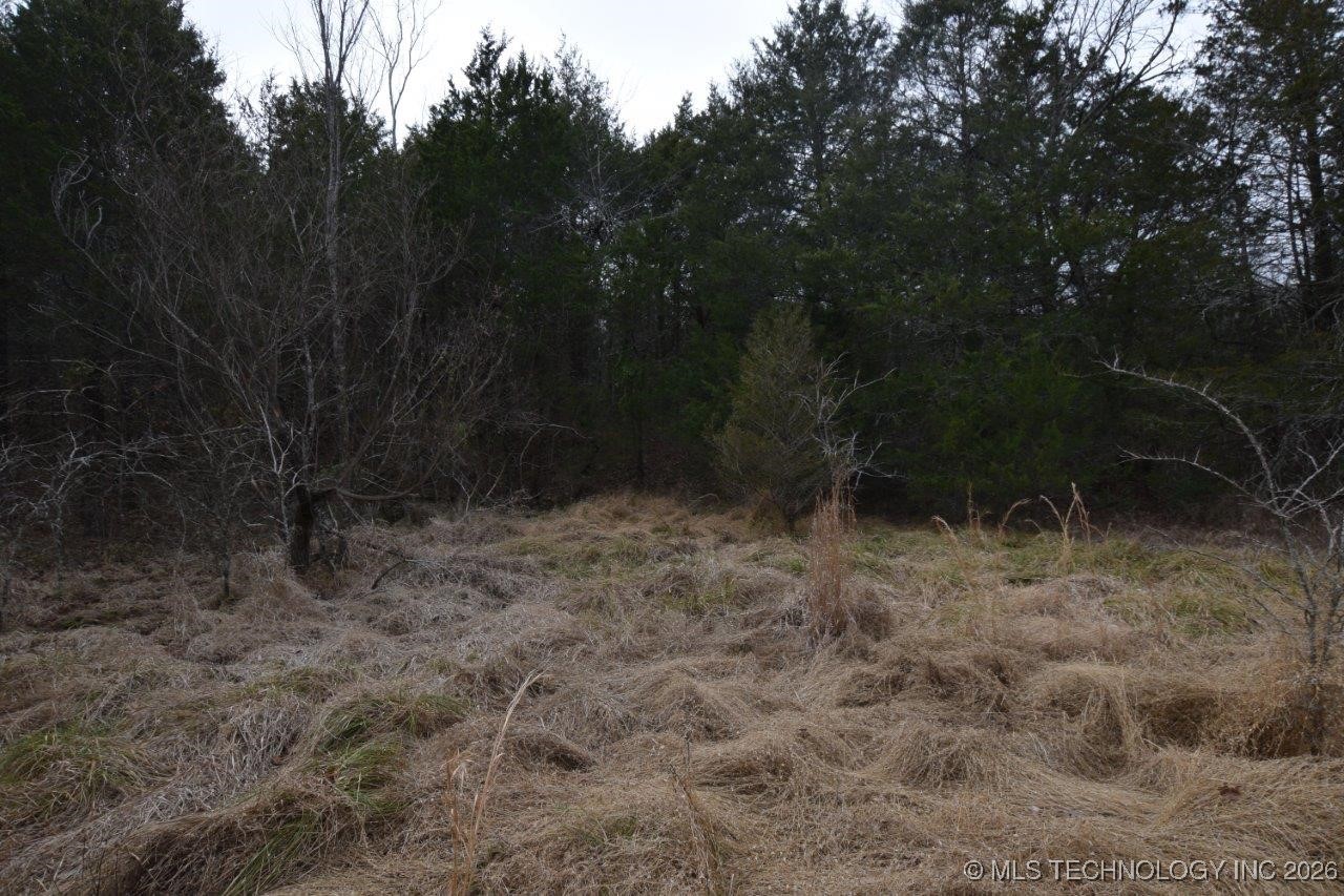 100257 Highway 100 Gore OK 74435