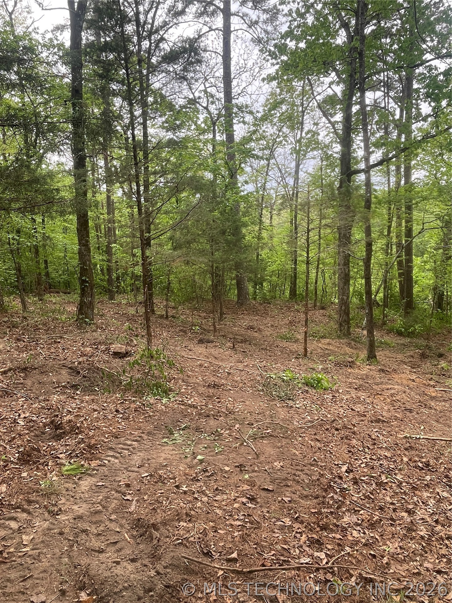 1 River Ridge Road Watson OK 74963