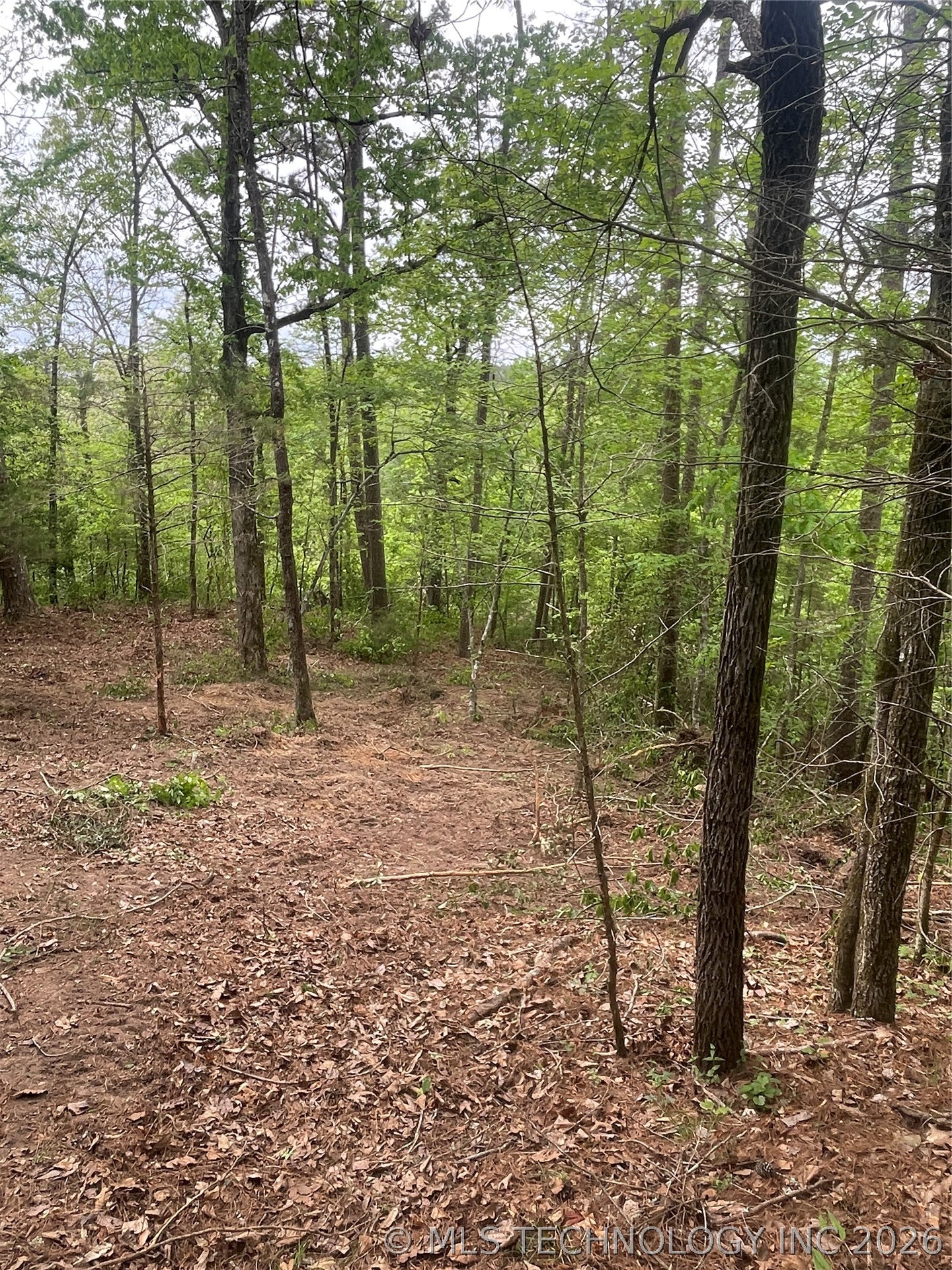 1 River Ridge Road Watson OK 74963