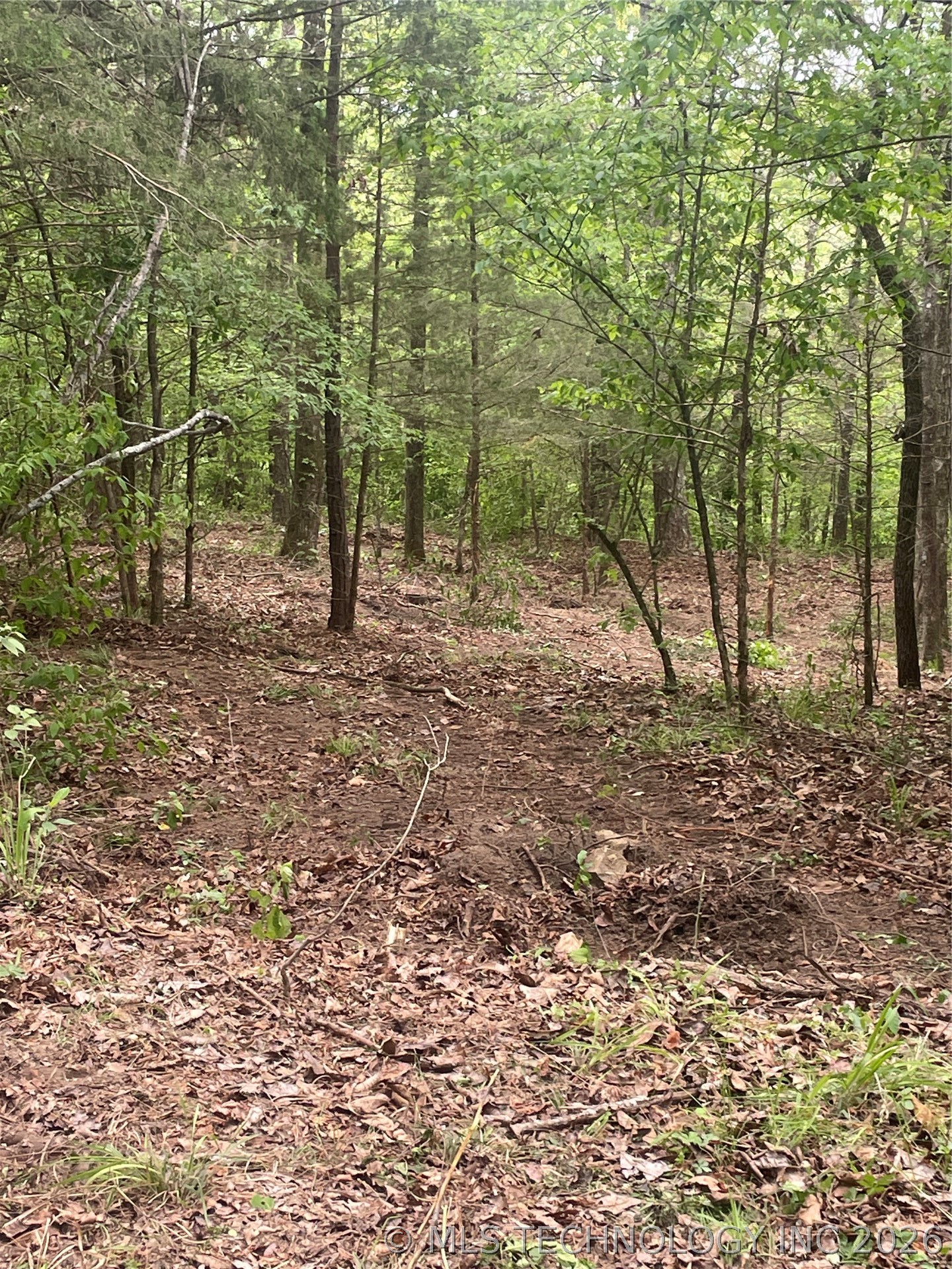 1 River Ridge Road Watson OK 74963