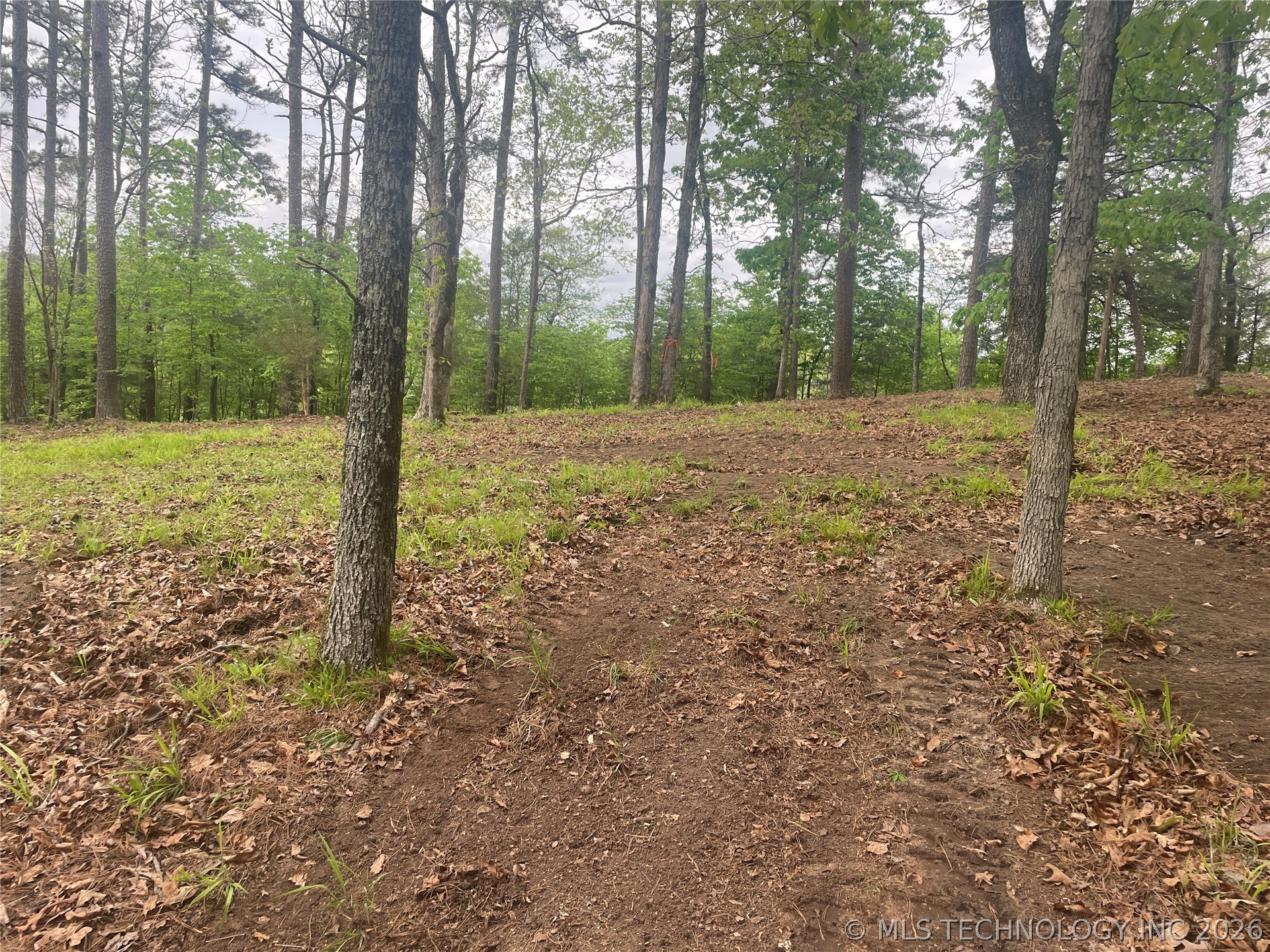 1 River Ridge Road Watson OK 74963