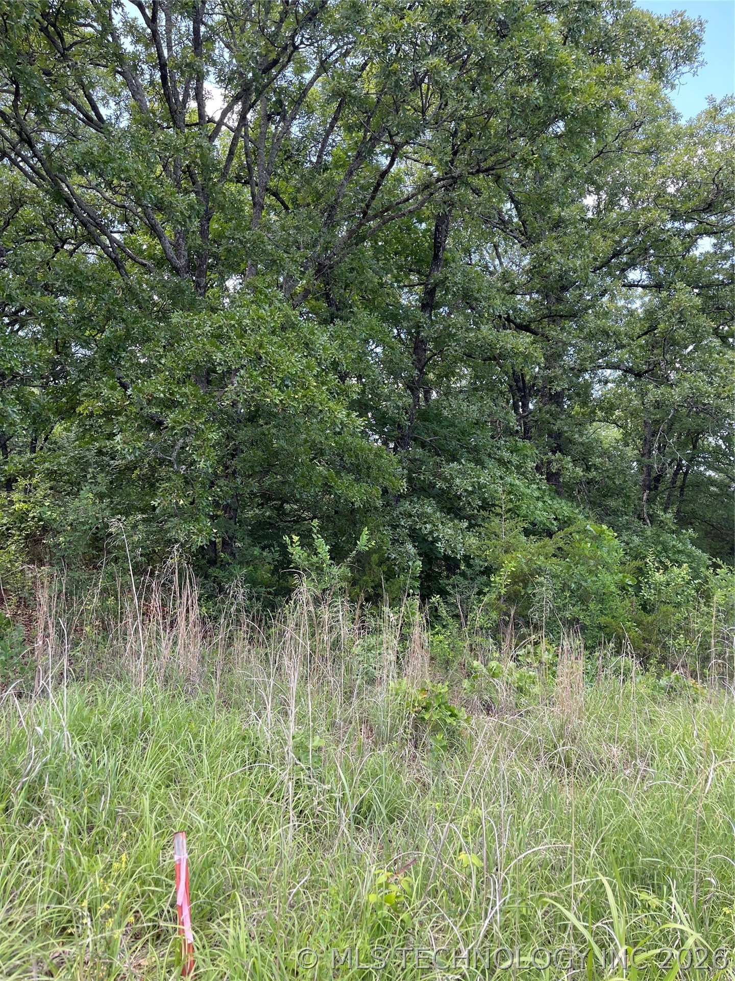 Lance Road Davis OK 73030