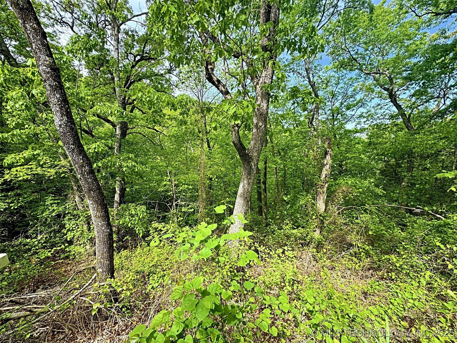 S 4507 Road Vian OK 74962