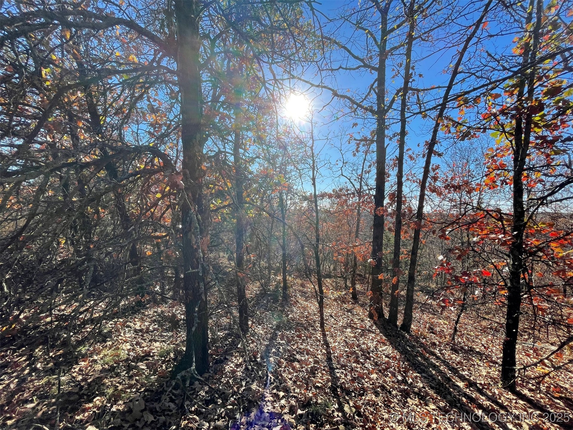 S 4507 Road Vian OK 74962
