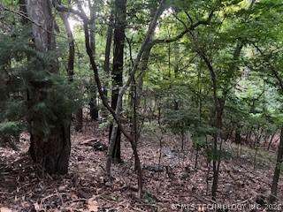 0 Vinita Circle Monkey Island OK 74331
