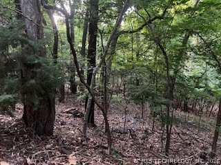 0 Vinita Circle Monkey Island OK 74331