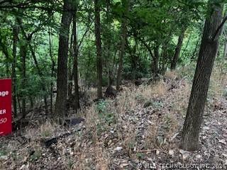 0 Vinita Circle Monkey Island OK 74331