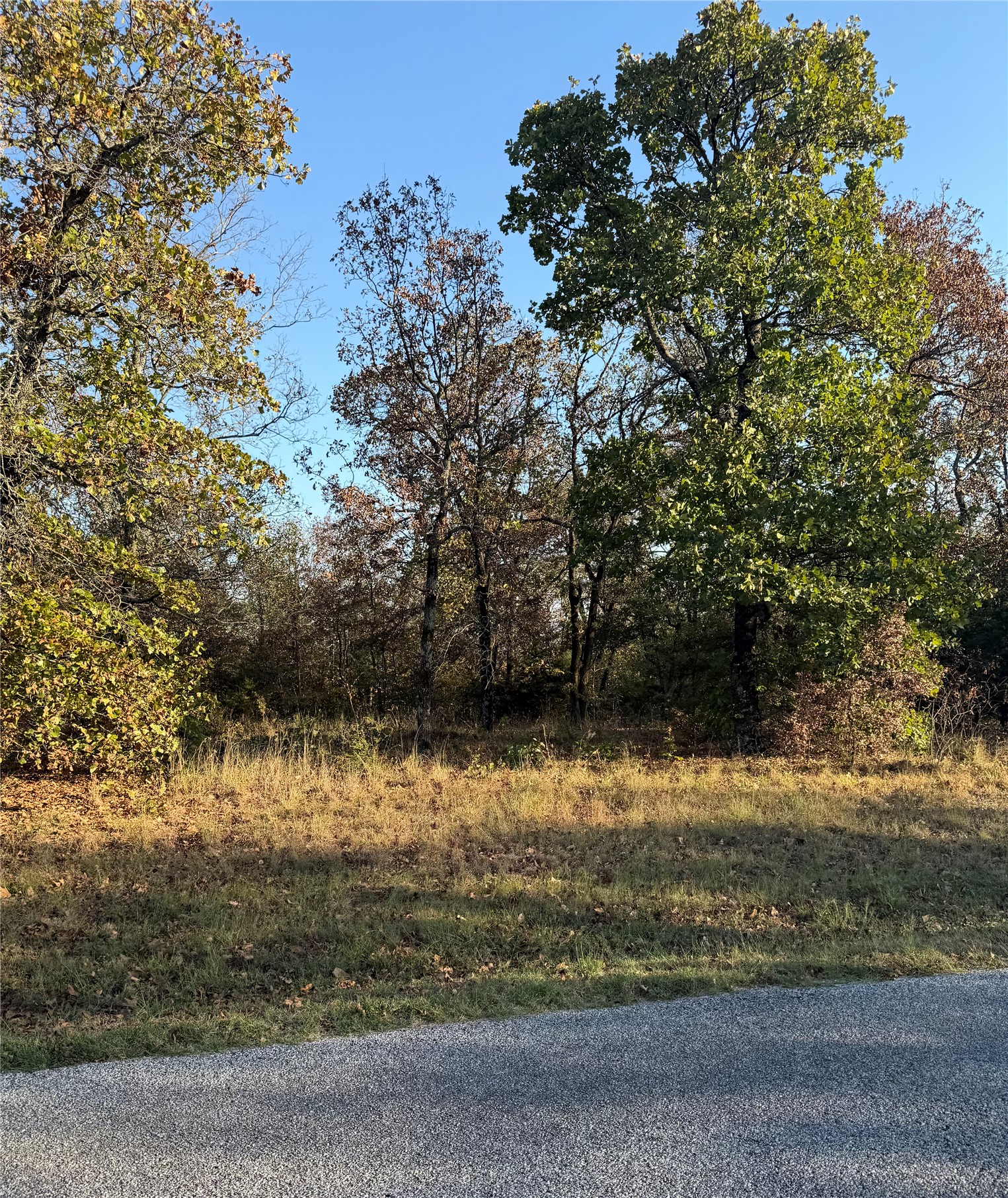 1 S 4530 Road Vian OK 74962