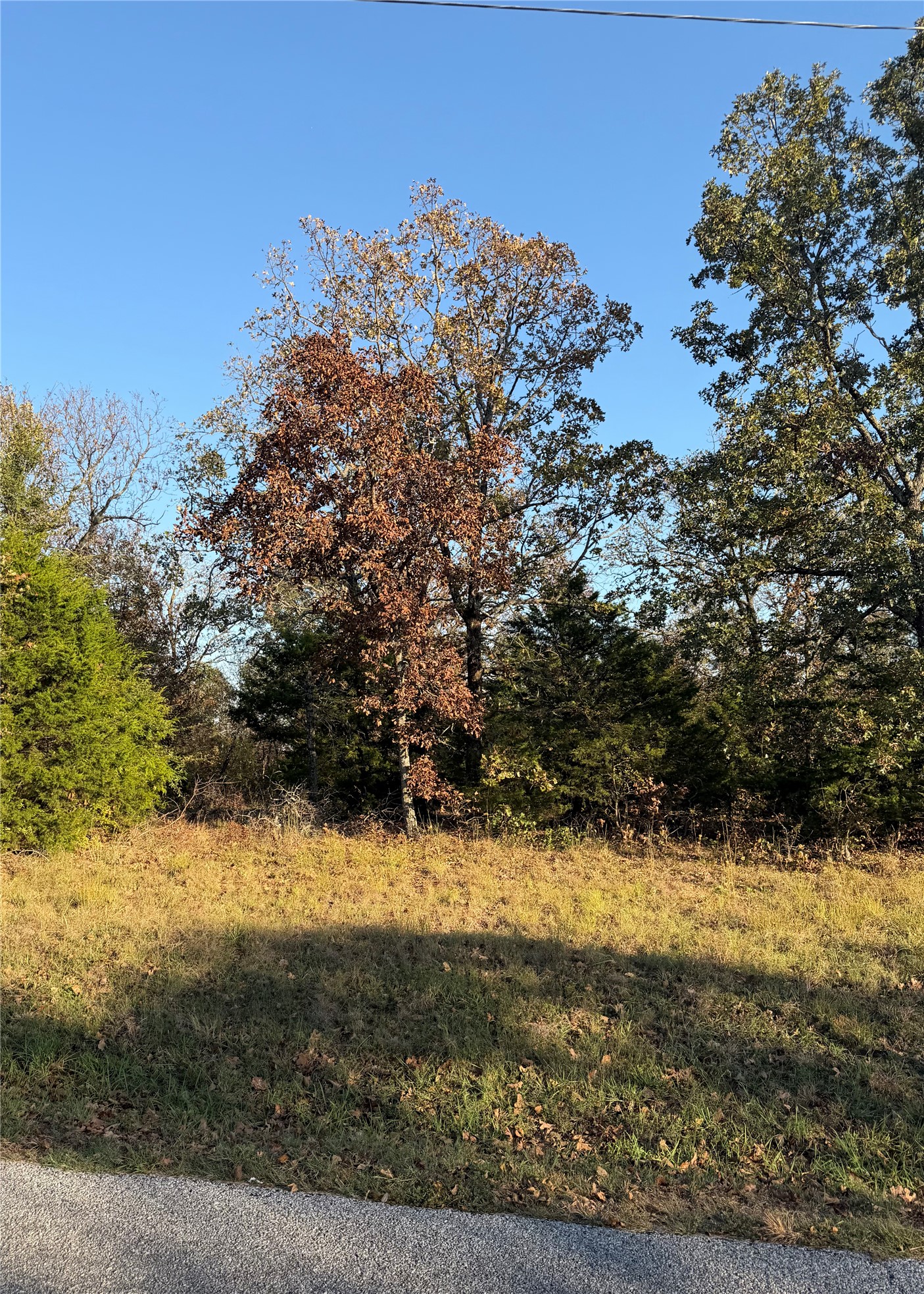 1 S 4530 Road Vian OK 74962