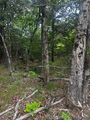 958 S Buffalo Road Stuart OK 74570