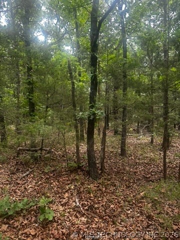 958 S Buffalo Road Stuart OK 74570