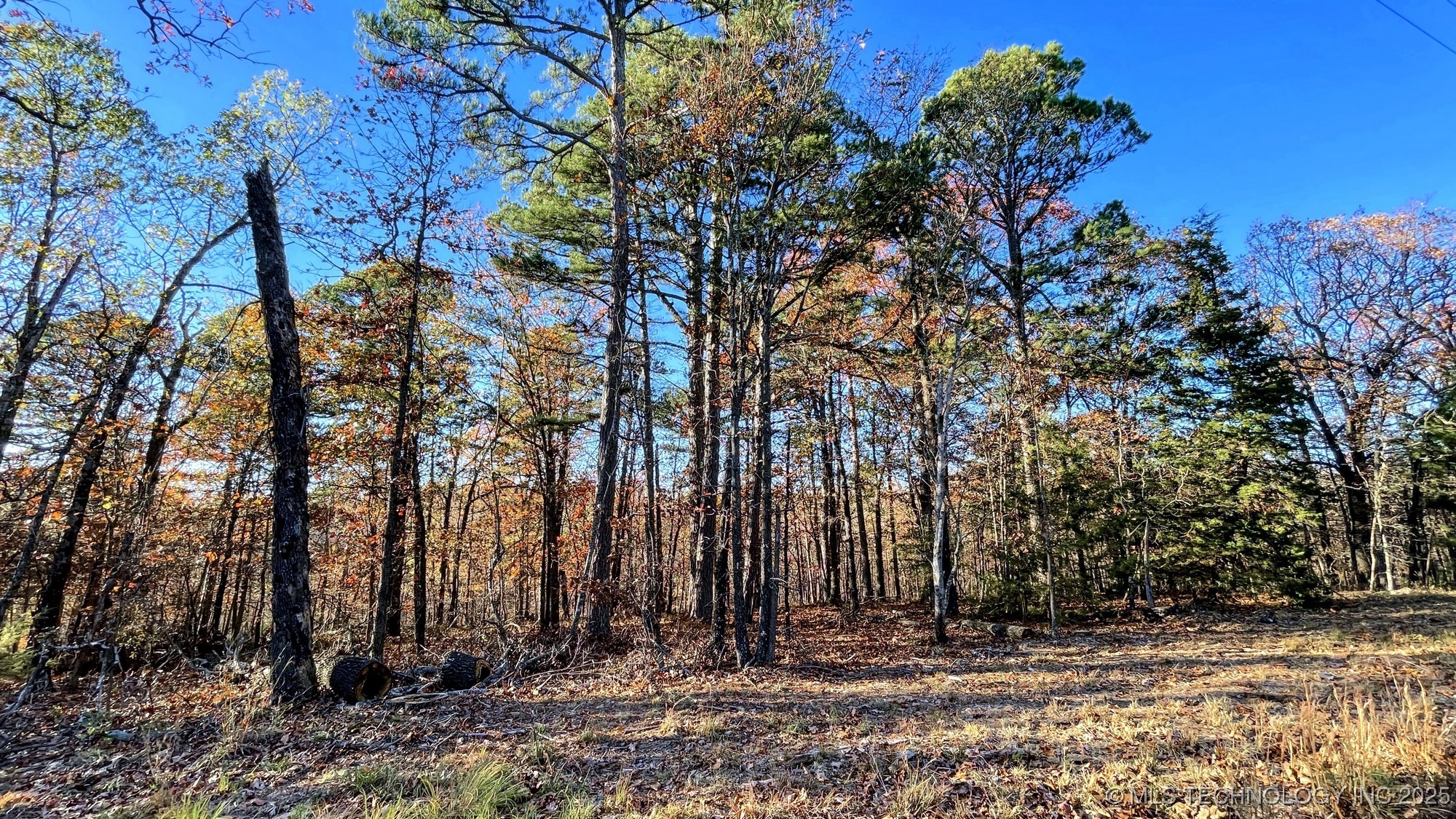 14 Big Bear Road Kansas OK 74347