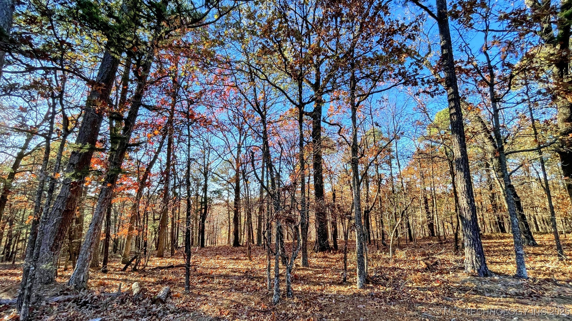 14 Big Bear Road Kansas OK 74347