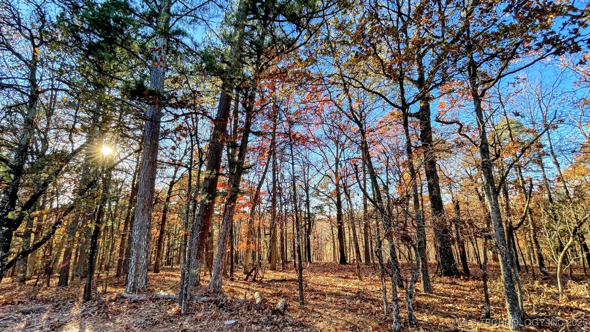 14 Big Bear Road Kansas OK 74347