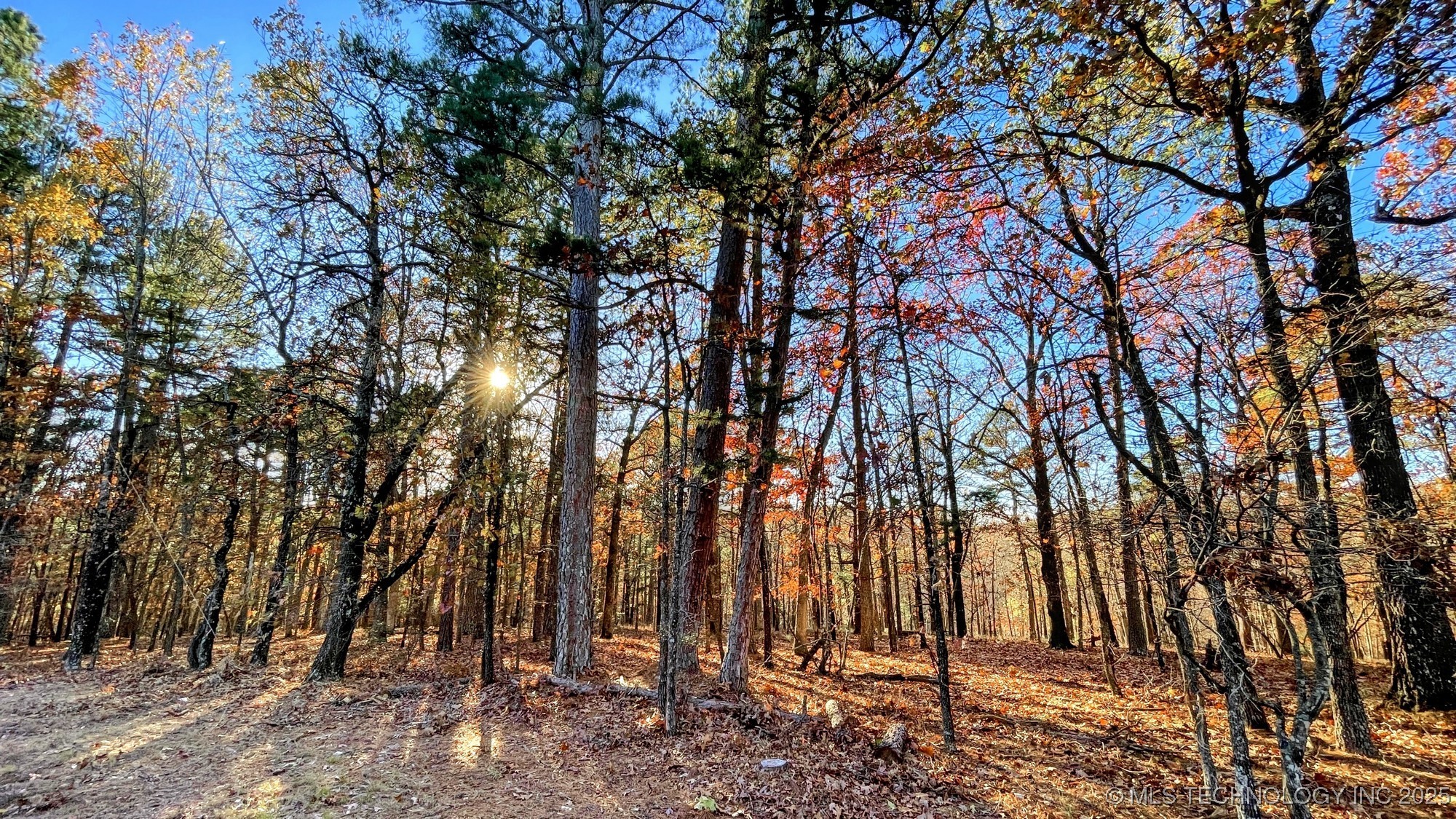 14 Big Bear Road Kansas OK 74347