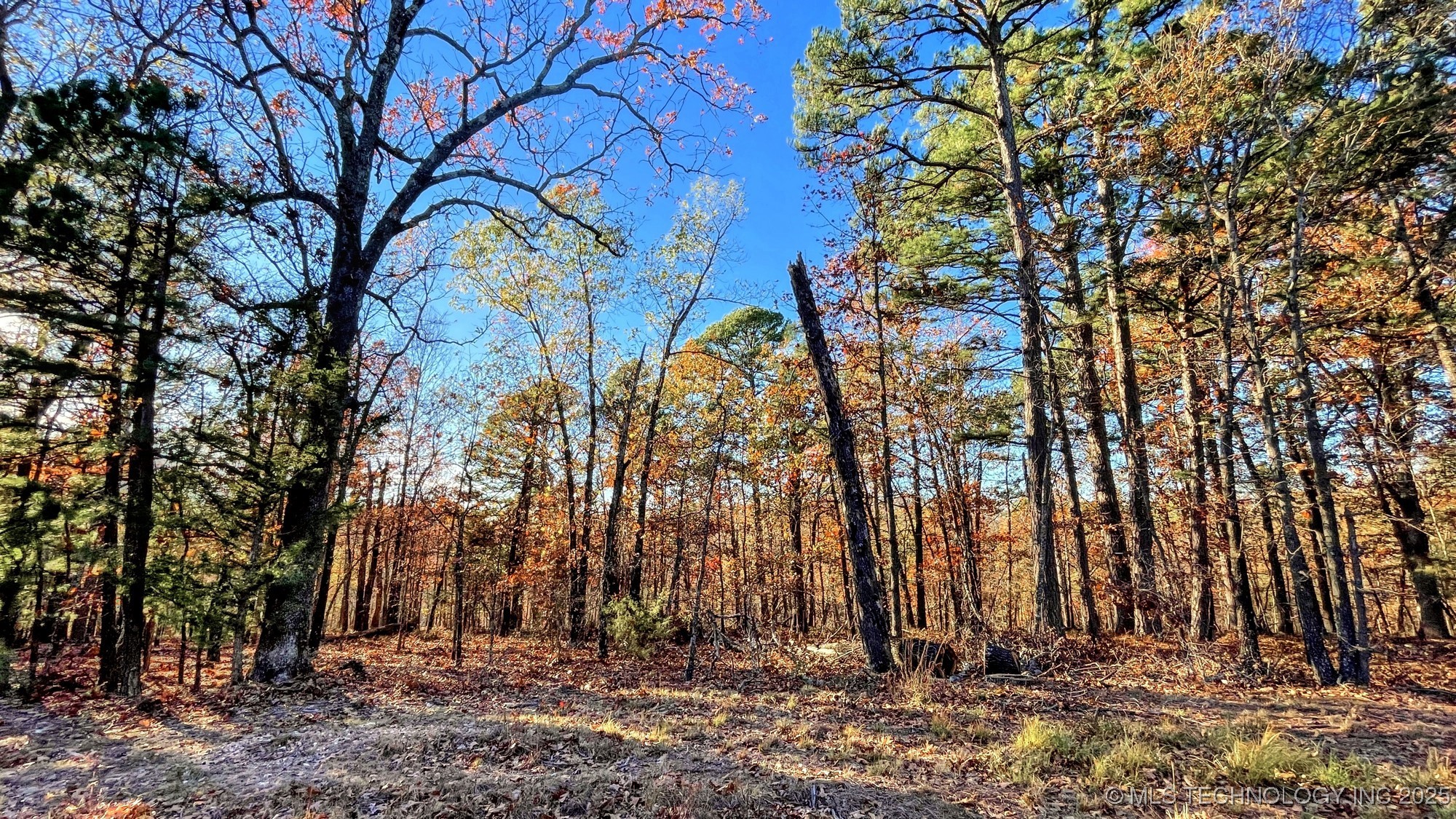 14 Big Bear Road Kansas OK 74347
