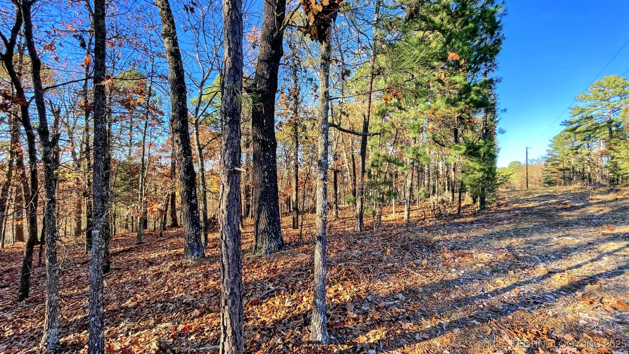 14 Big Bear Road Kansas OK 74347
