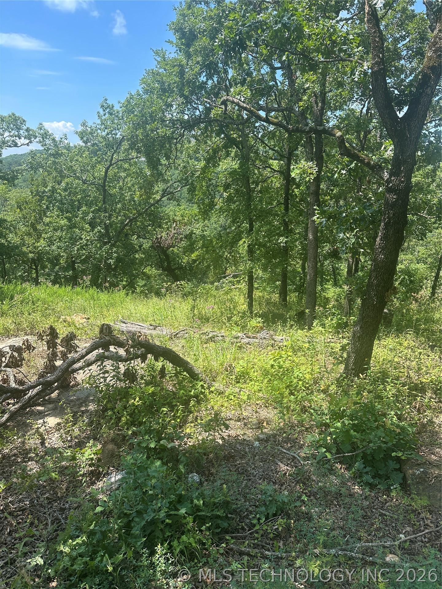 18121 W Running Springs Road Park Hill OK 74451