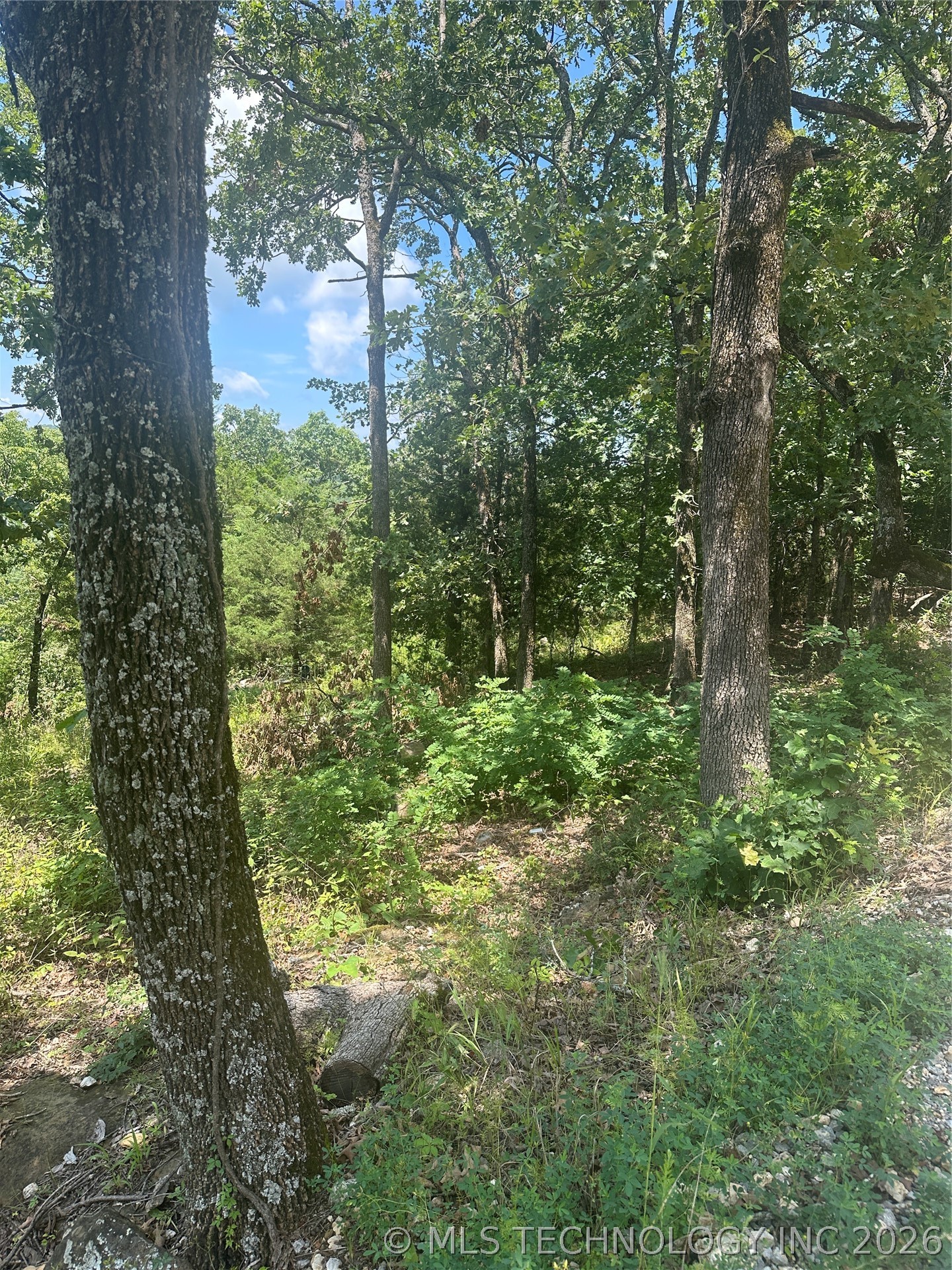 18121 W Running Springs Road Park Hill OK 74451